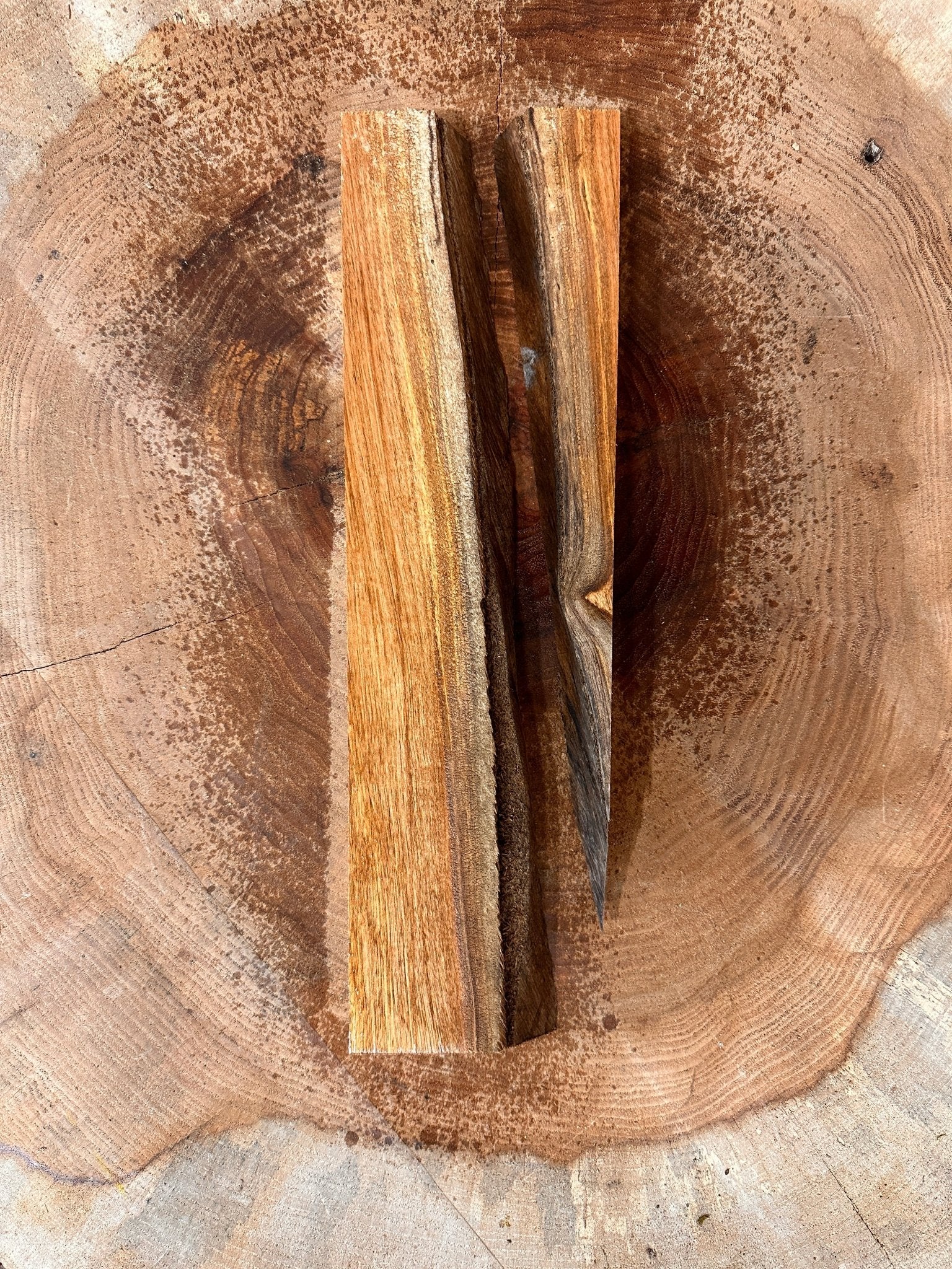 LiveEdge Elm Coaster Blank | Elm | Hamilton Lee Supply