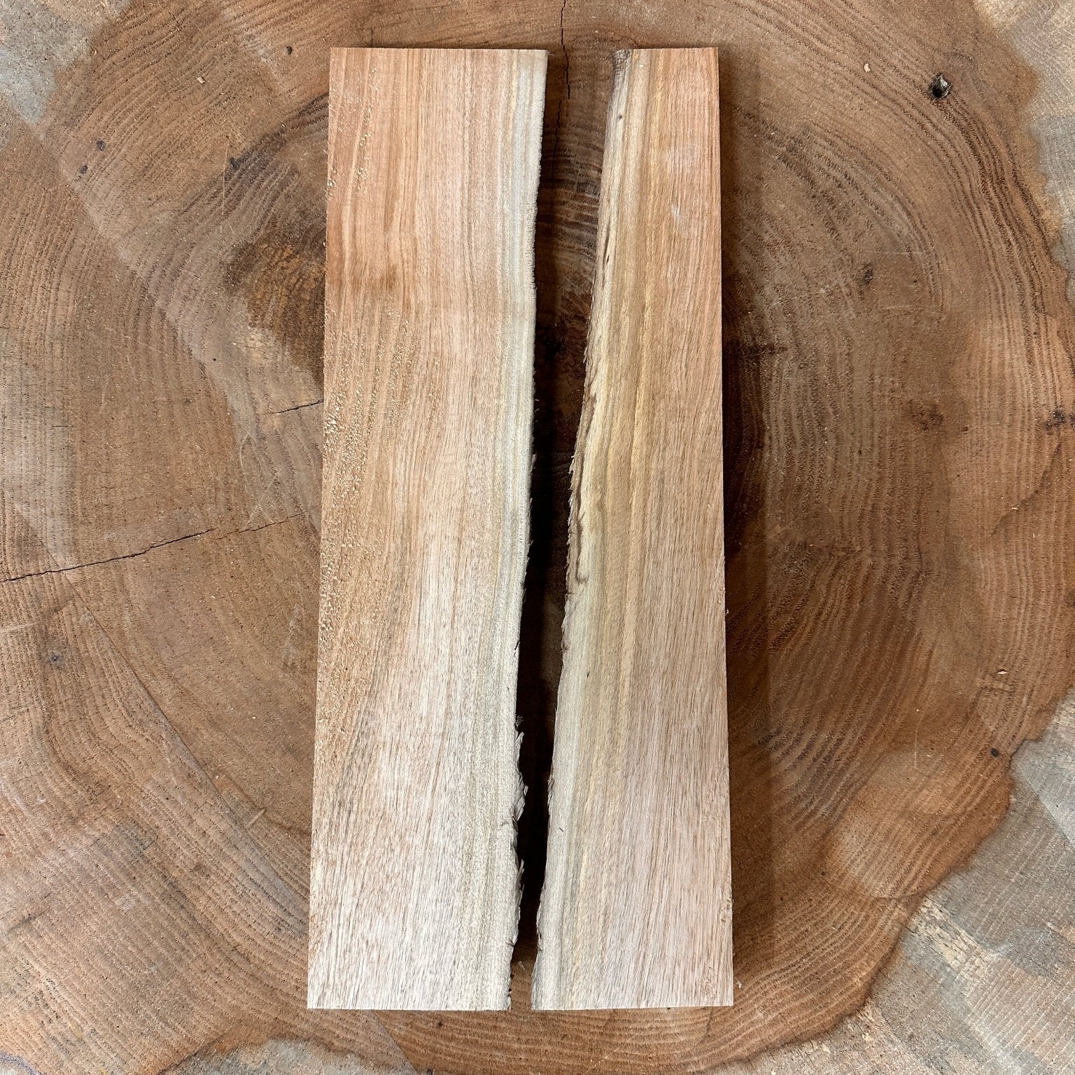 LiveEdge Elm Coaster Blank | Elm | Hamilton Lee Supply