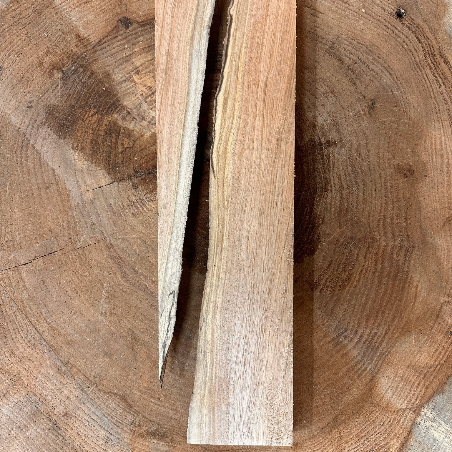 LiveEdge Elm Coaster Blank | Elm | Hamilton Lee Supply