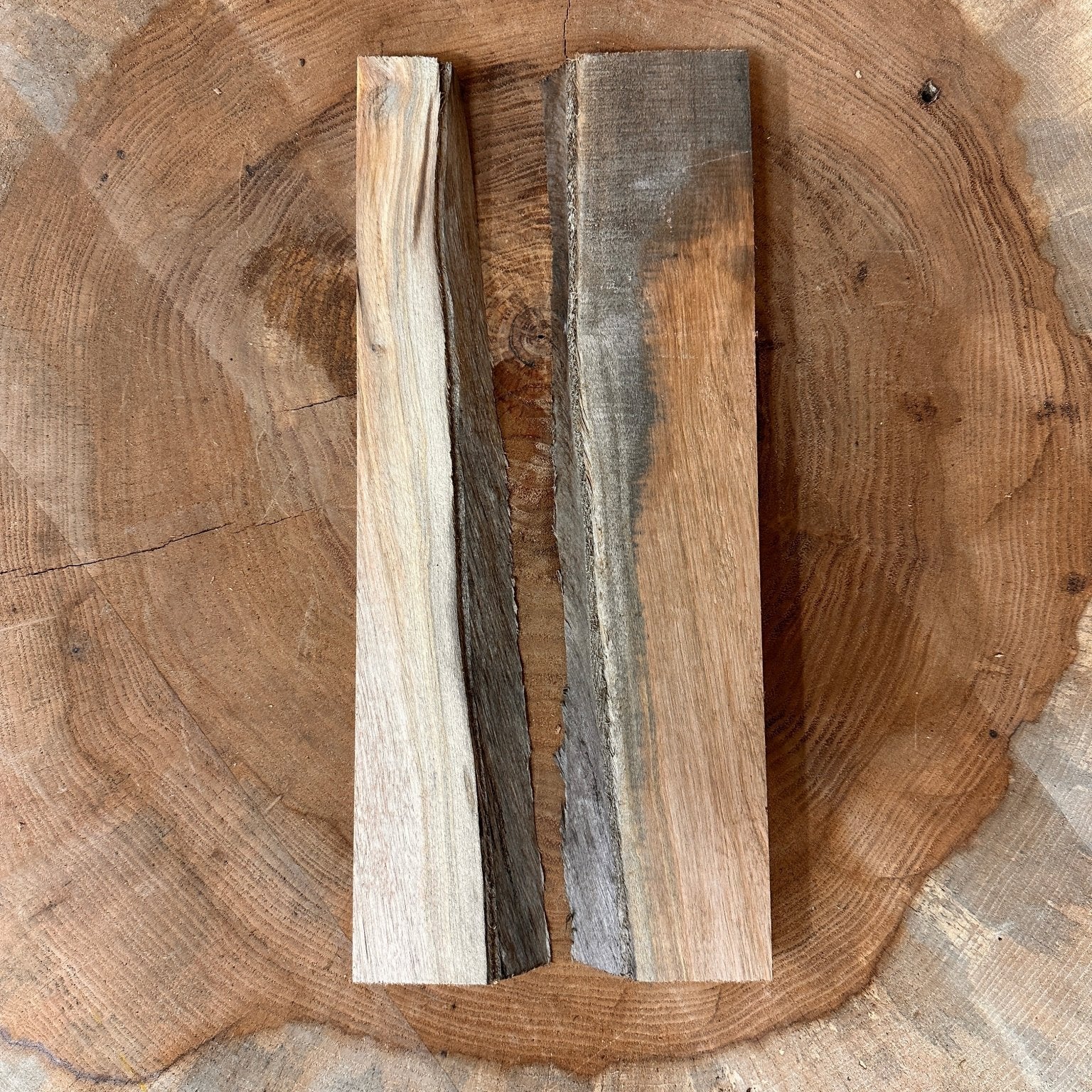 LiveEdge Elm Coaster Blank | Elm | Hamilton Lee Supply