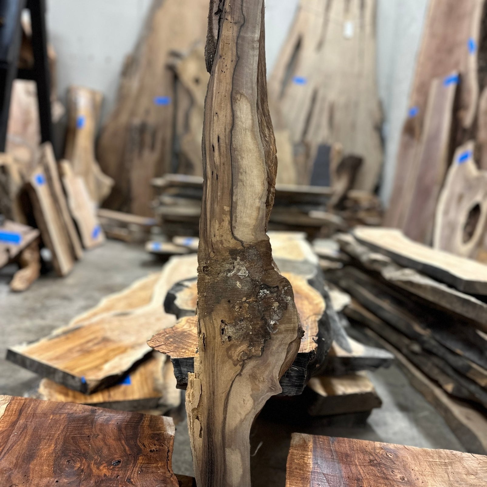 LiveEdge English Walnut | English Walnut | Hamilton Lee Supply