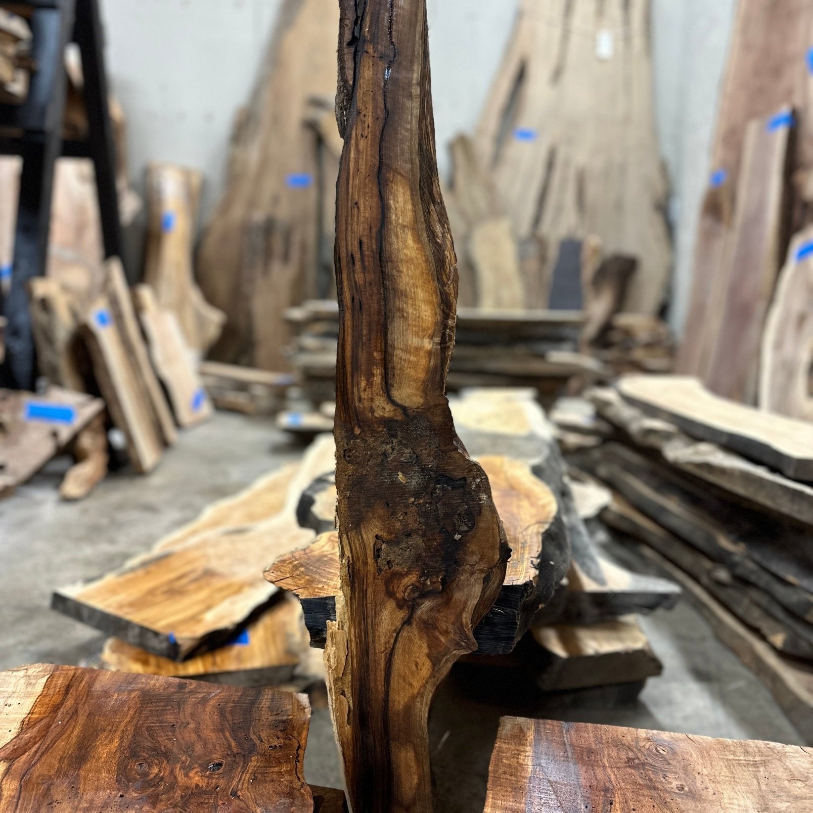 LiveEdge English Walnut | English Walnut | Hamilton Lee Supply
