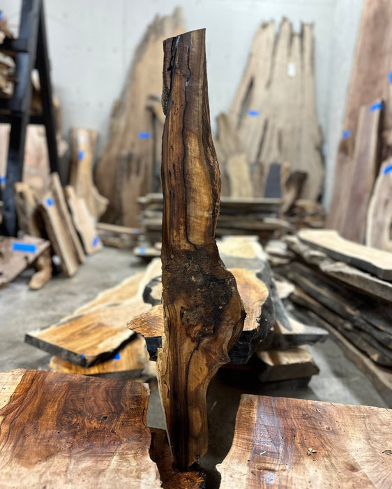 Crazy Grain | LiveEdge English Walnut | English Walnut | Hamilton Lee Supply