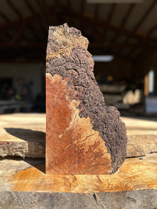 RedFalcon | LiveEdge Madrone | Madrone | Hamilton Lee Supply