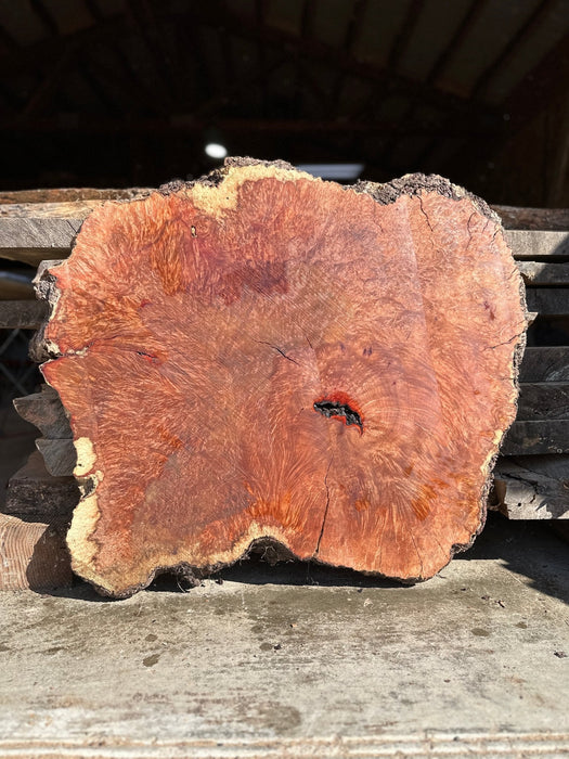 RedFalcon | LiveEdge Madrone | Madrone | Hamilton Lee Supply
