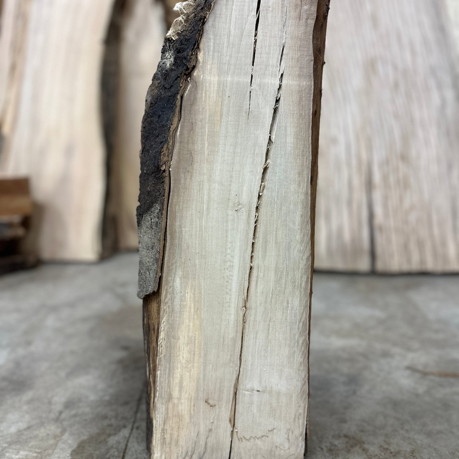 LiveEdge Maple | Maple | Hamilton Lee Supply