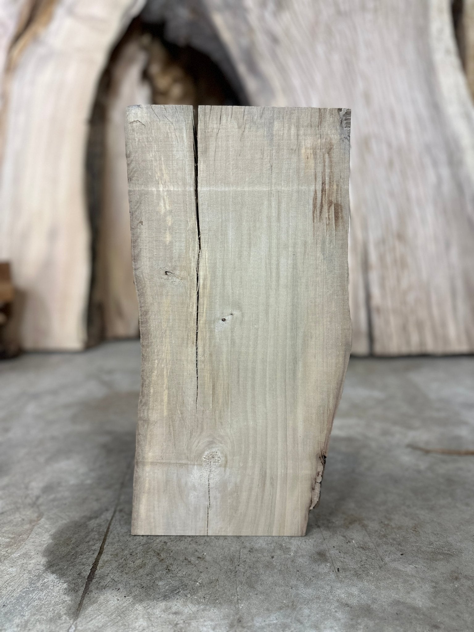 LiveEdge Maple | Maple | Hamilton Lee Supply
