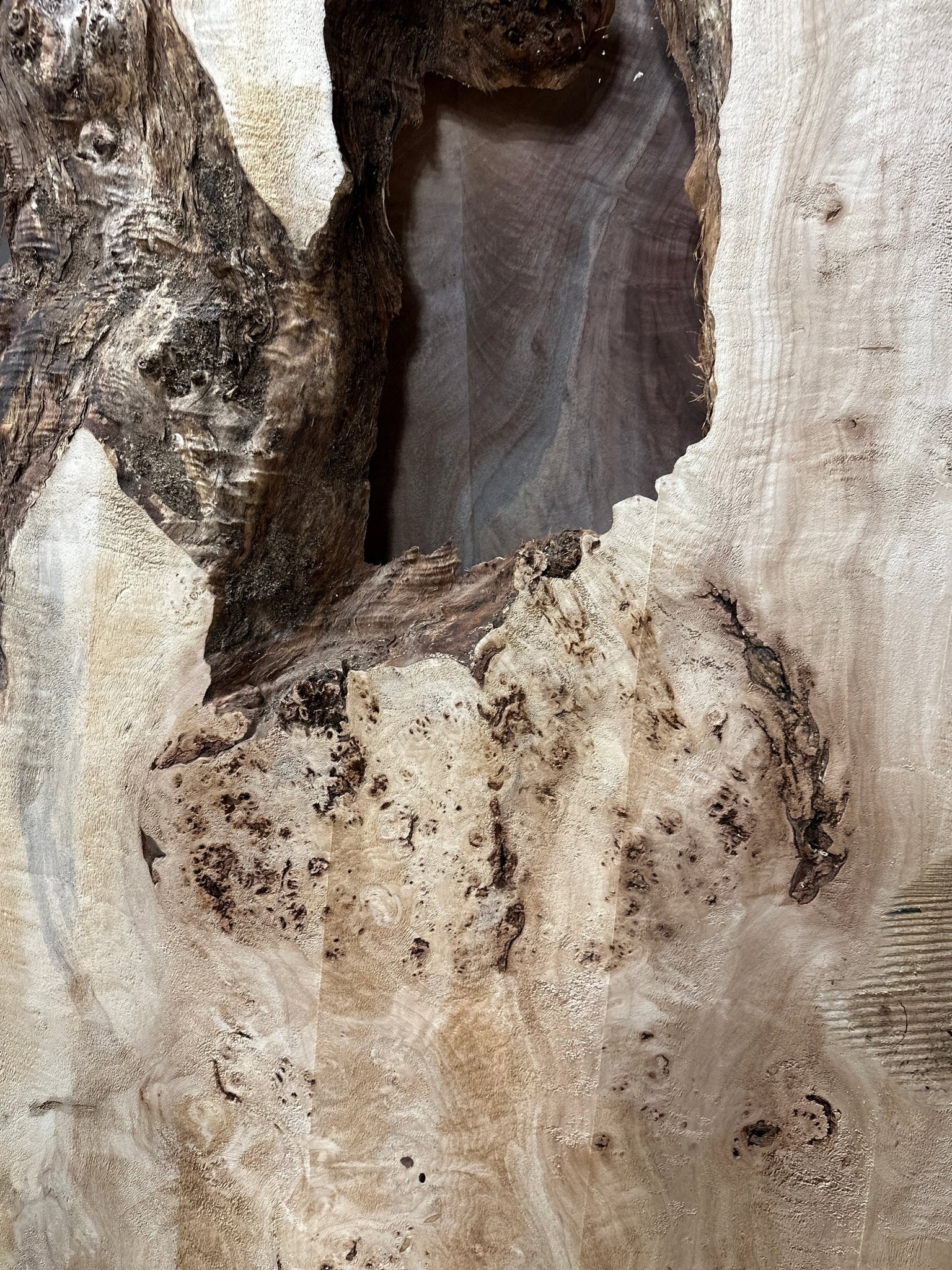 LiveEdge Mappa Burl | Mappa Burl | Hamilton Lee Supply