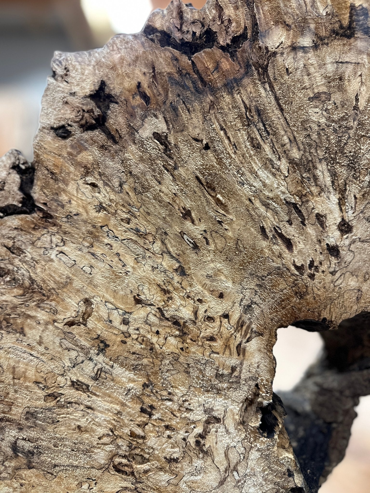 LiveEdge Mappa Burl Cookie | Mappa Burl | Hamilton Lee Supply