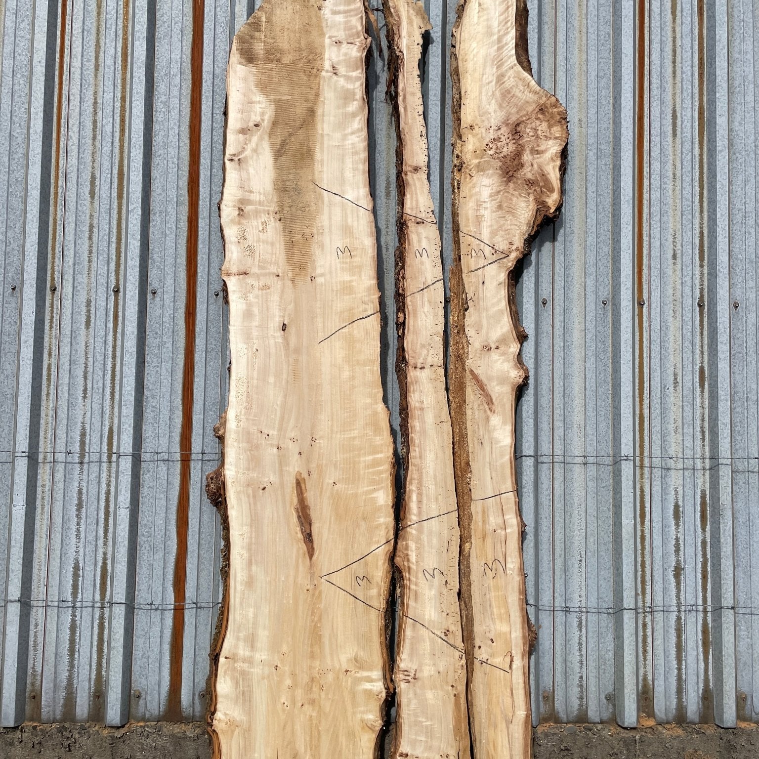 LiveEdge Mappa Burl | Mappa Burl | Hamilton Lee Supply