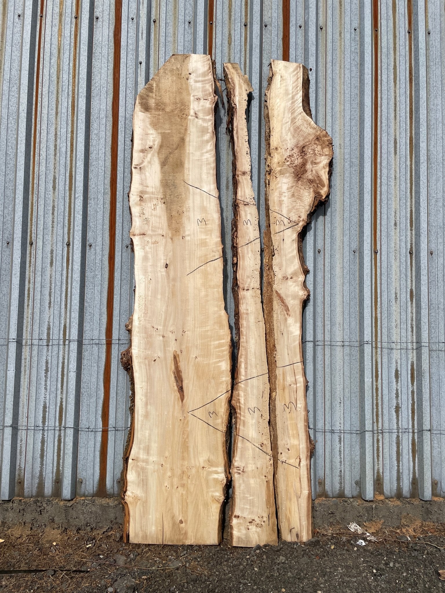 LiveEdge Mappa Burl | Mappa Burl | Hamilton Lee Supply