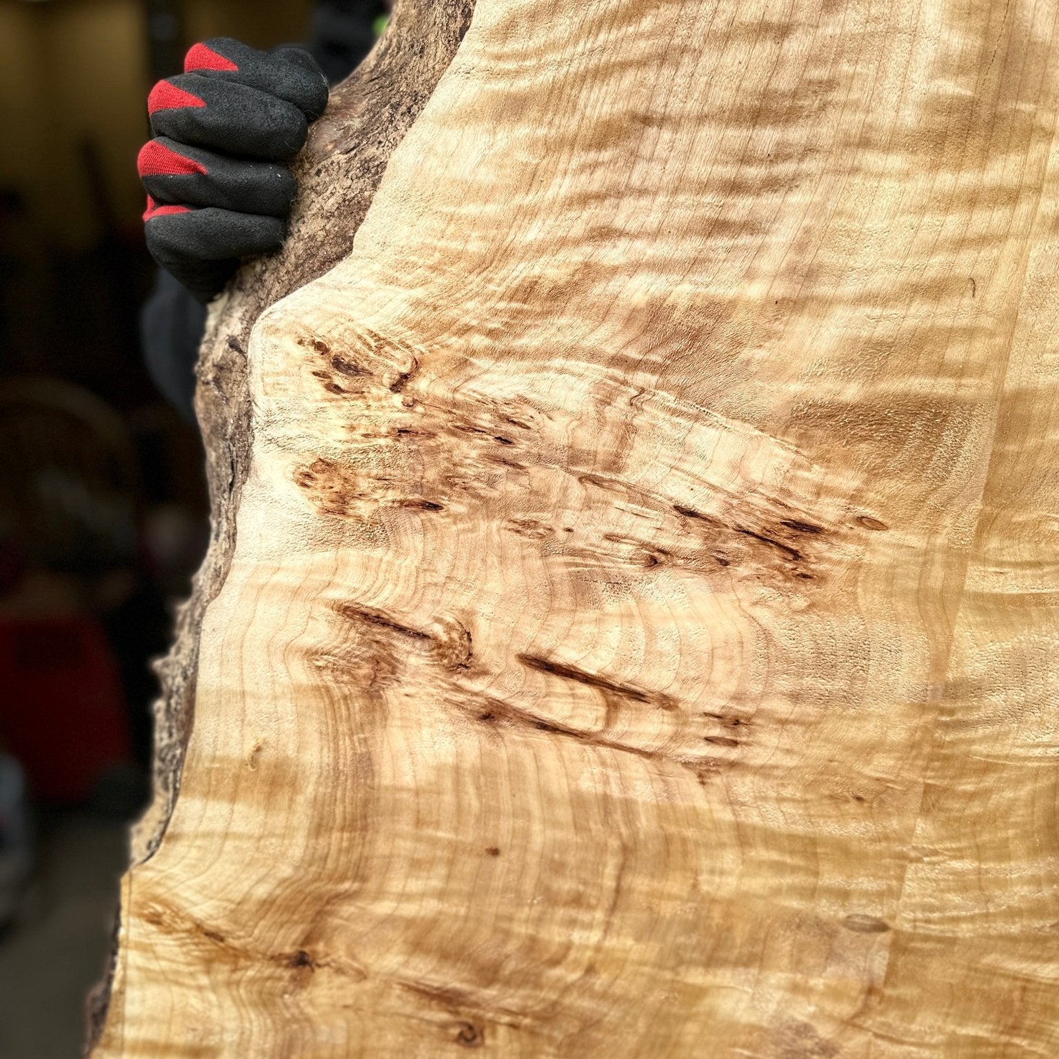 LiveEdge Mappa Burl | Mappa Burl | Hamilton Lee Supply