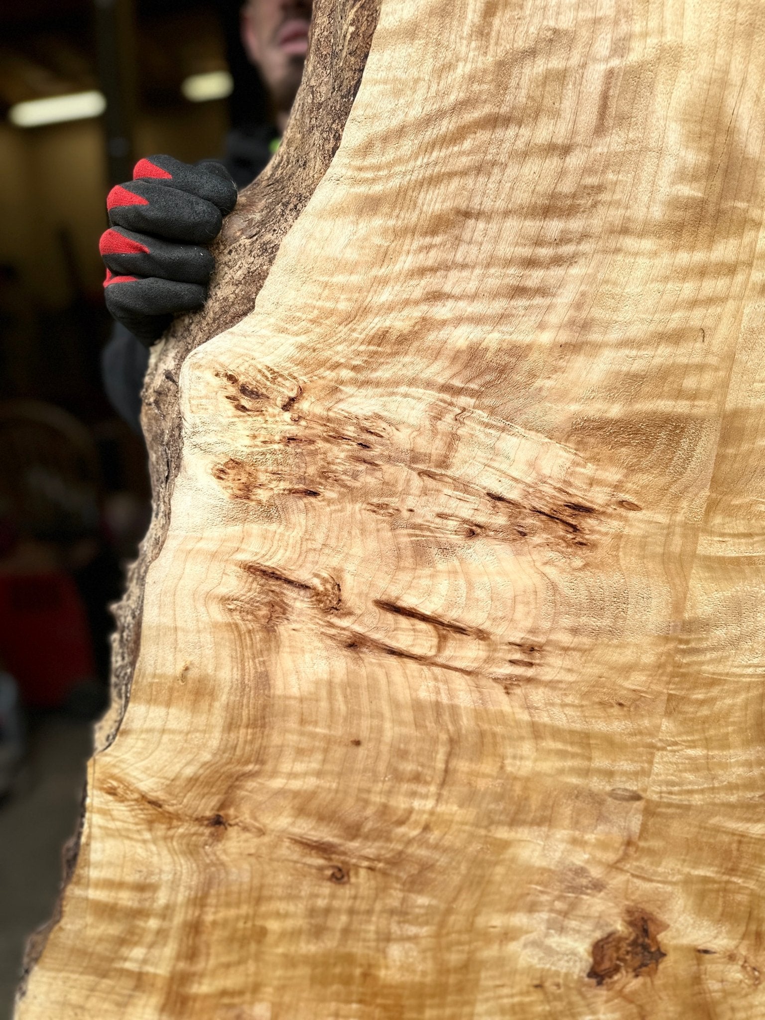 LiveEdge Mappa Burl | Mappa Burl | Hamilton Lee Supply