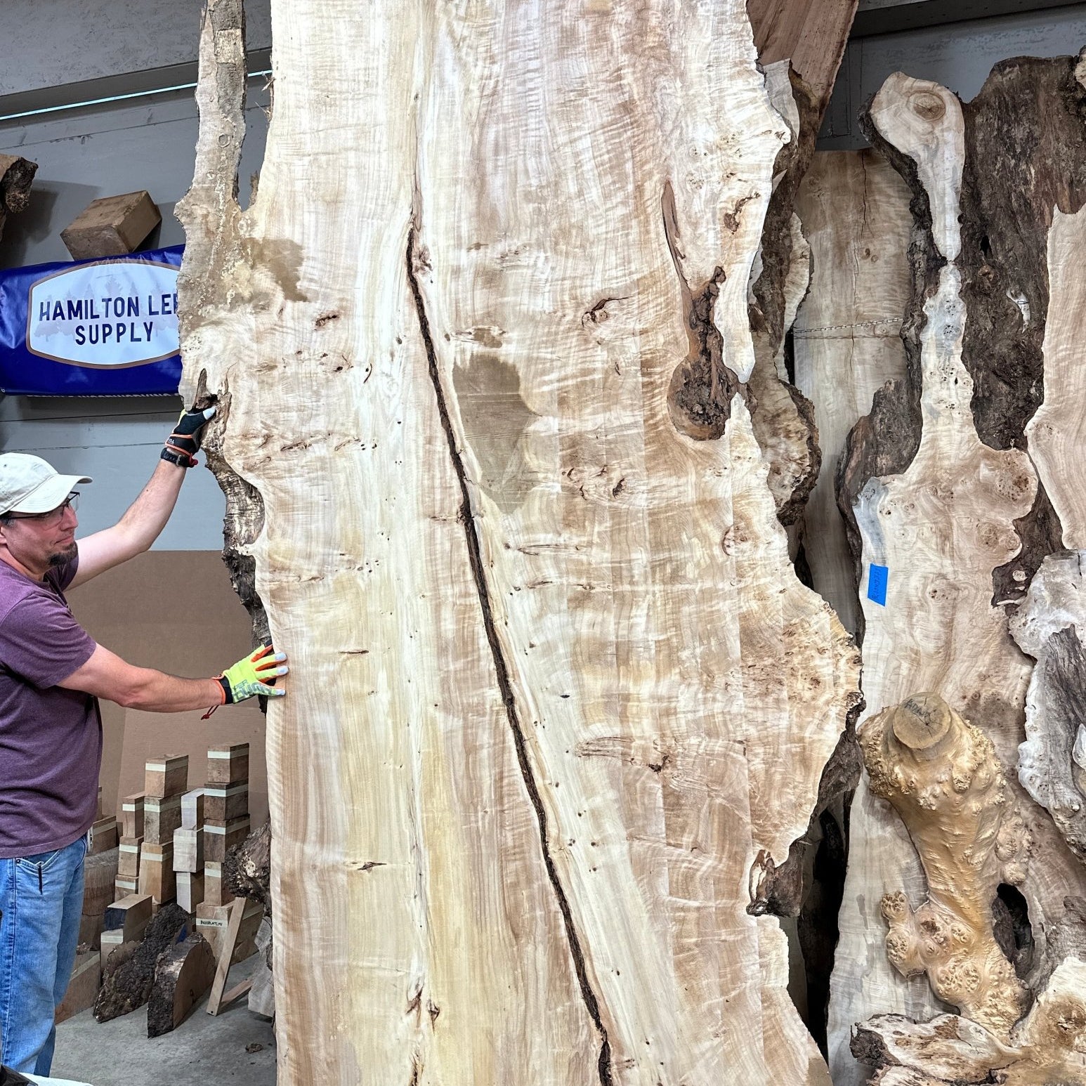 LiveEdge Mappa Burl | Mappa Burl | Hamilton Lee Supply