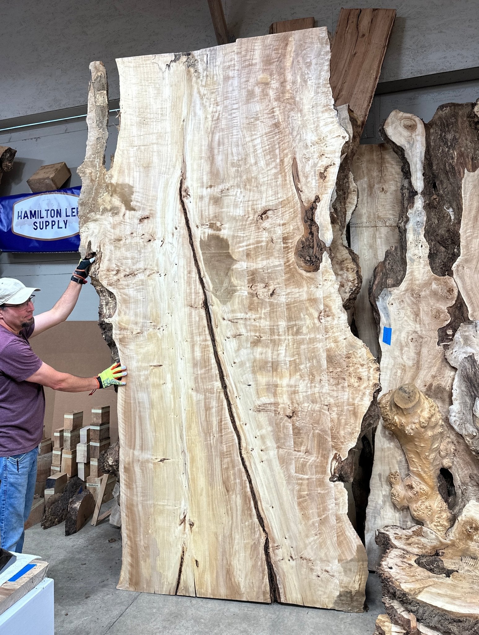 LiveEdge Mappa Burl | Mappa Burl | Hamilton Lee Supply