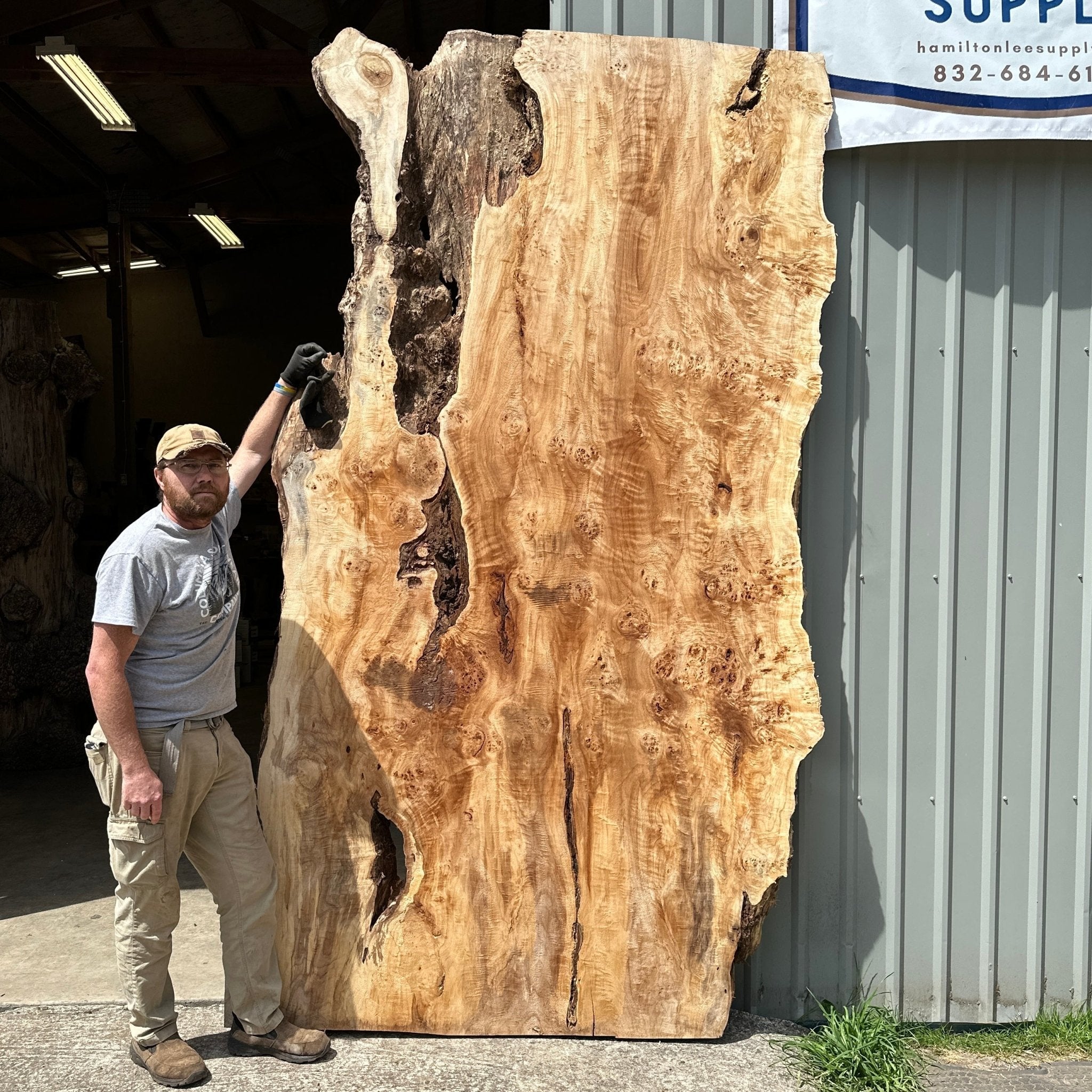 LiveEdge Mappa Burl | Mappa Burl | Hamilton Lee Supply