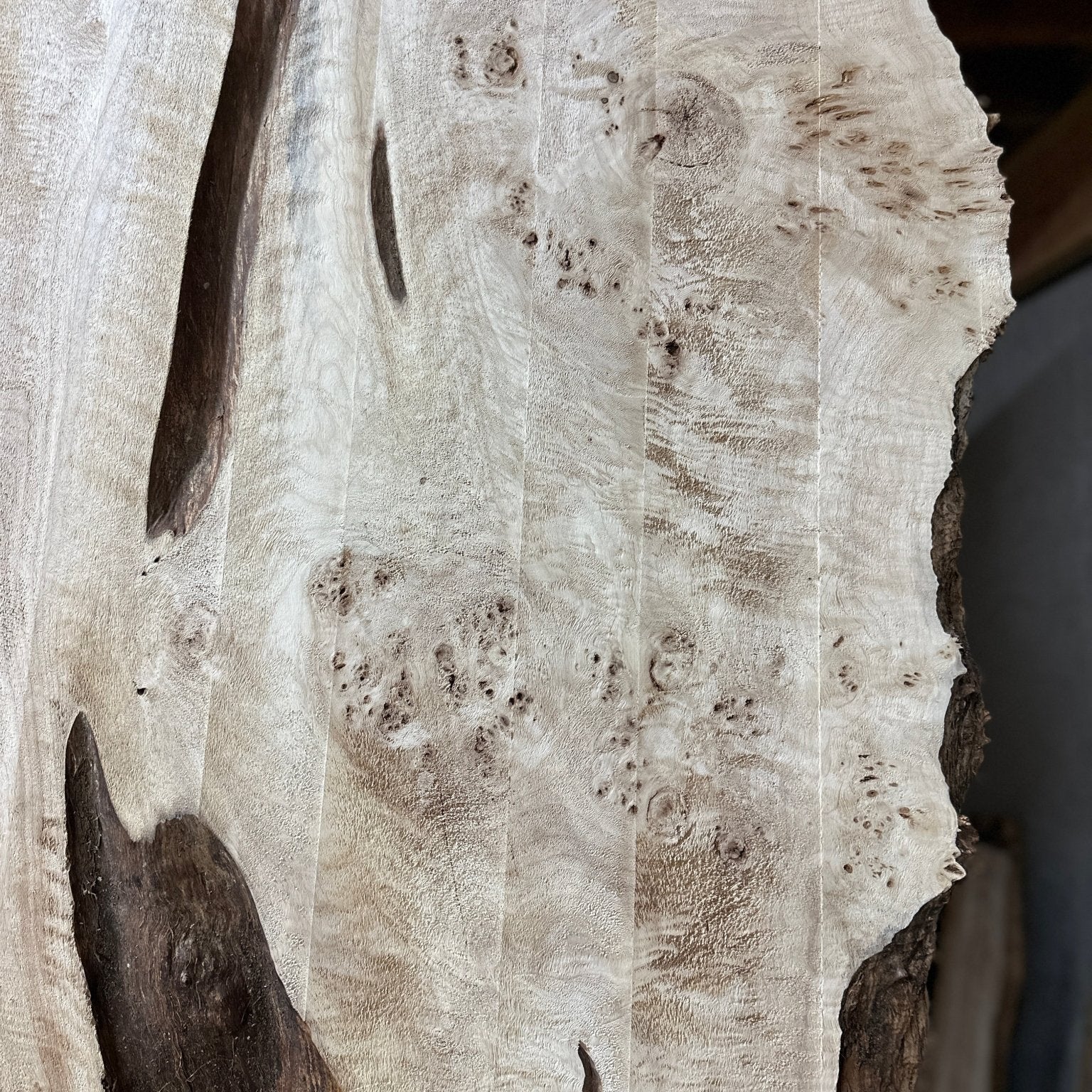 LiveEdge Mappa Burl | Mappa Burl | Hamilton Lee Supply