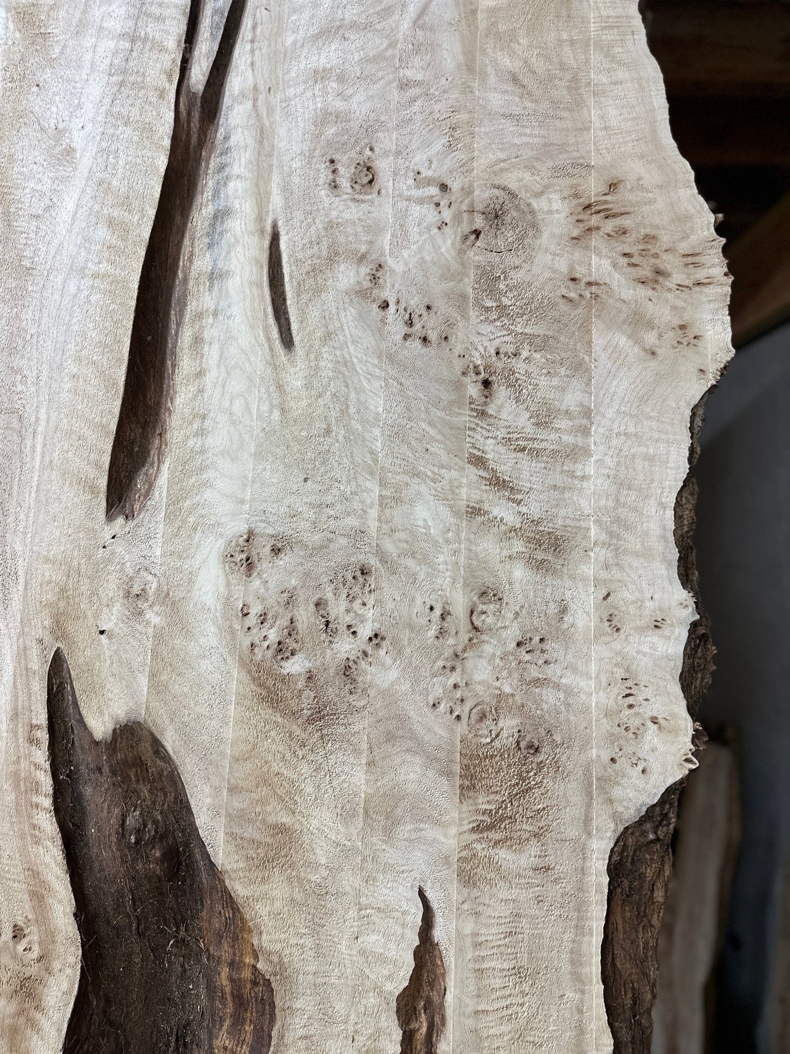 LiveEdge Mappa Burl | Mappa Burl | Hamilton Lee Supply