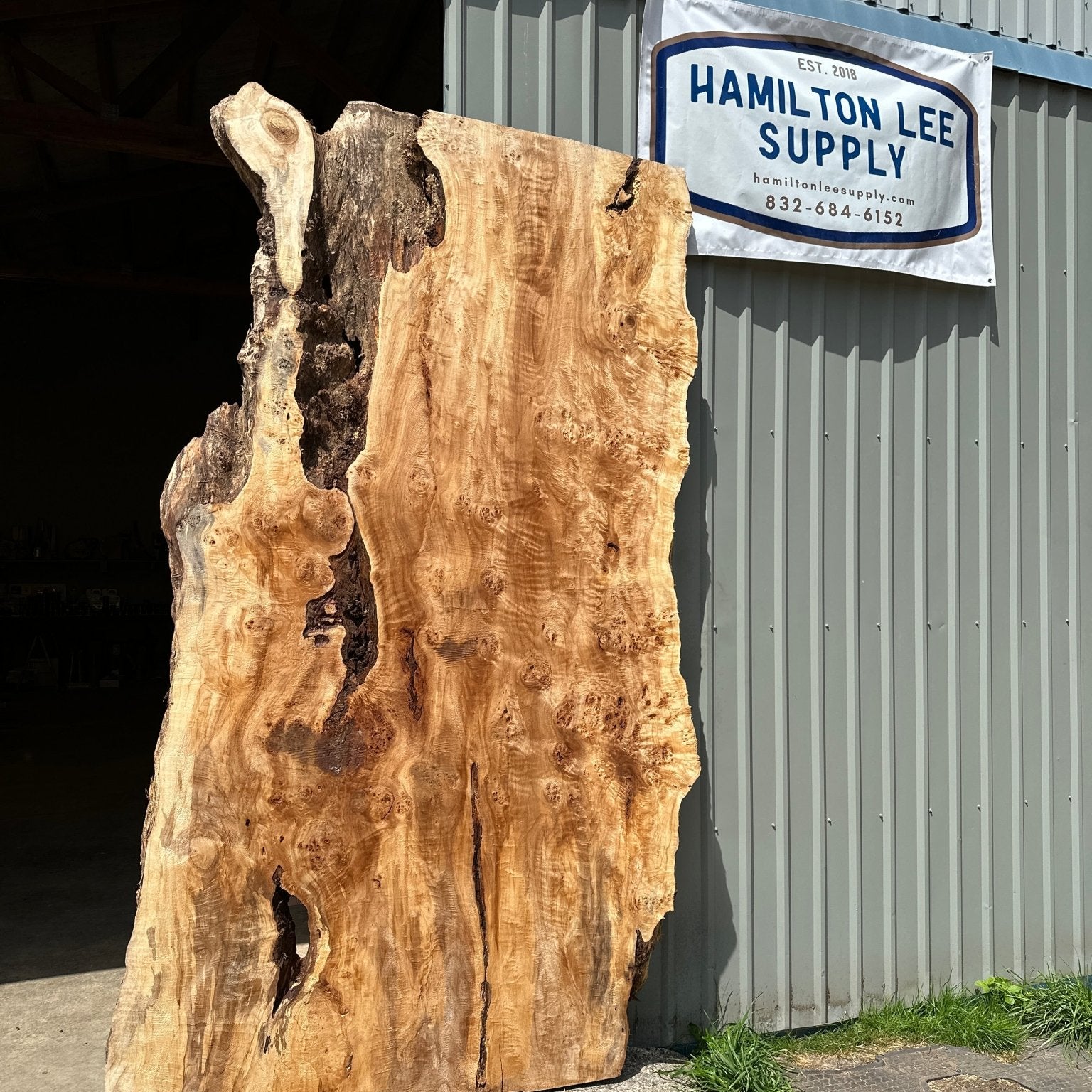 LiveEdge Mappa Burl | Mappa Burl | Hamilton Lee Supply