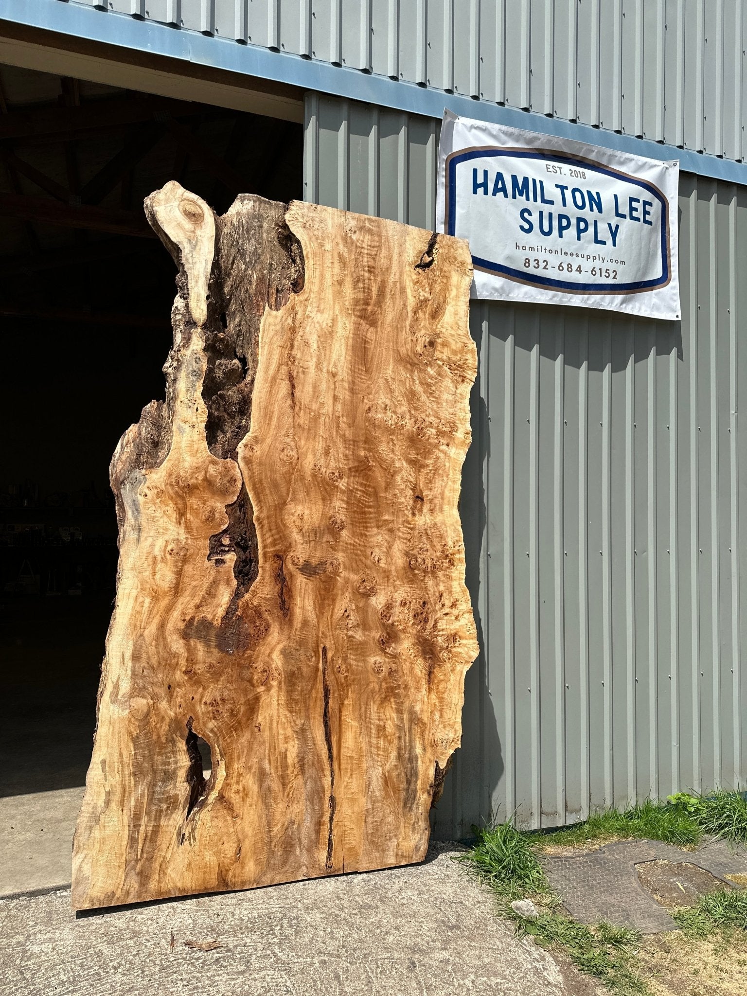 LiveEdge Mappa Burl | Mappa Burl | Hamilton Lee Supply