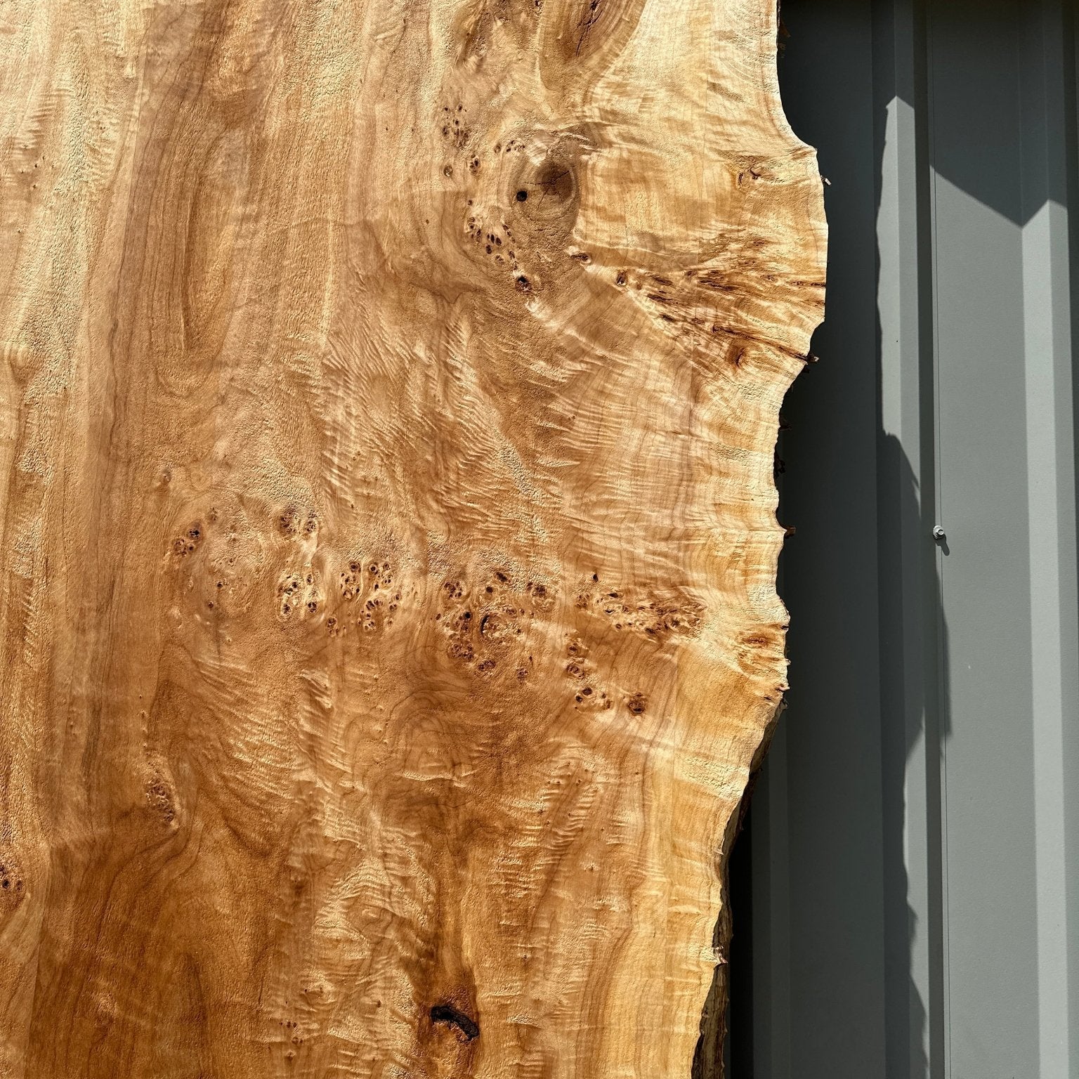 LiveEdge Mappa Burl | Mappa Burl | Hamilton Lee Supply