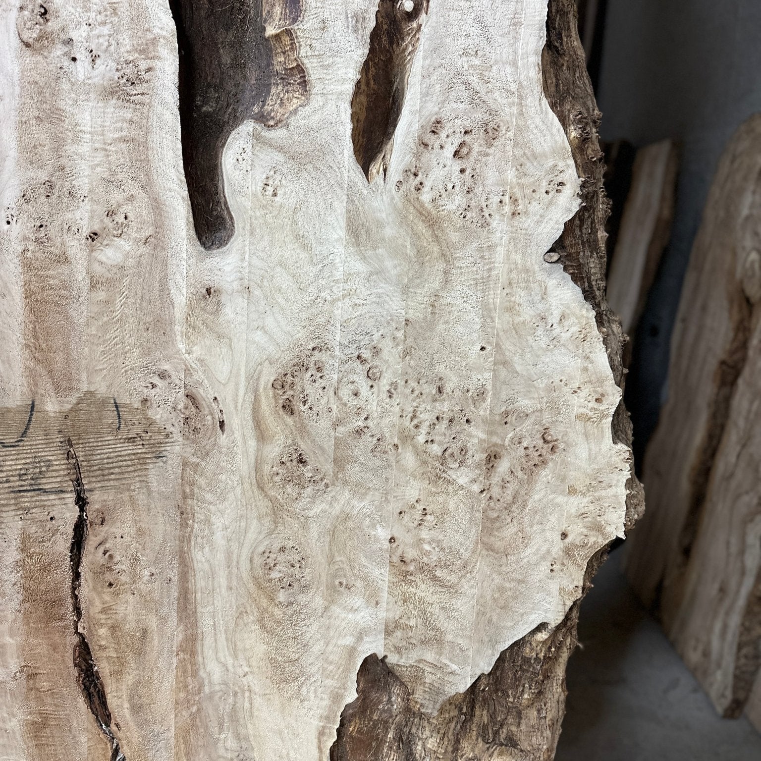 LiveEdge Mappa Burl | Mappa Burl | Hamilton Lee Supply