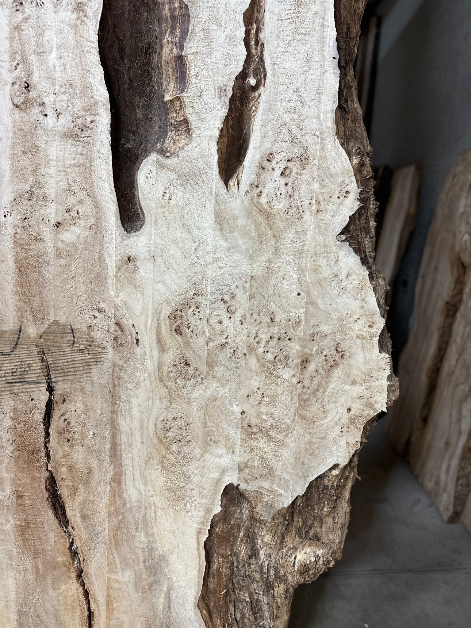 LiveEdge Mappa Burl | Mappa Burl | Hamilton Lee Supply