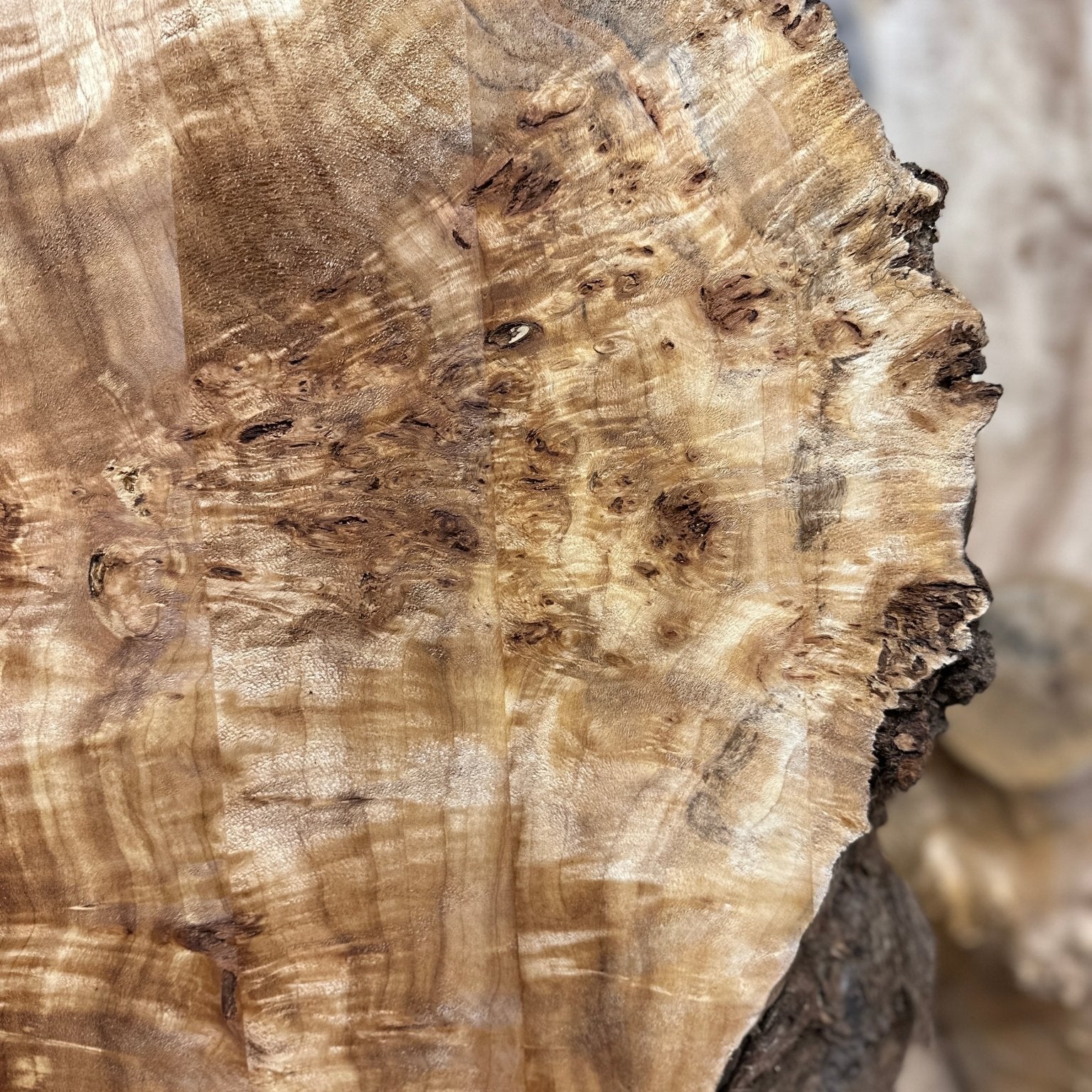 LiveEdge Mappa Burl | Mappa Burl | Hamilton Lee Supply