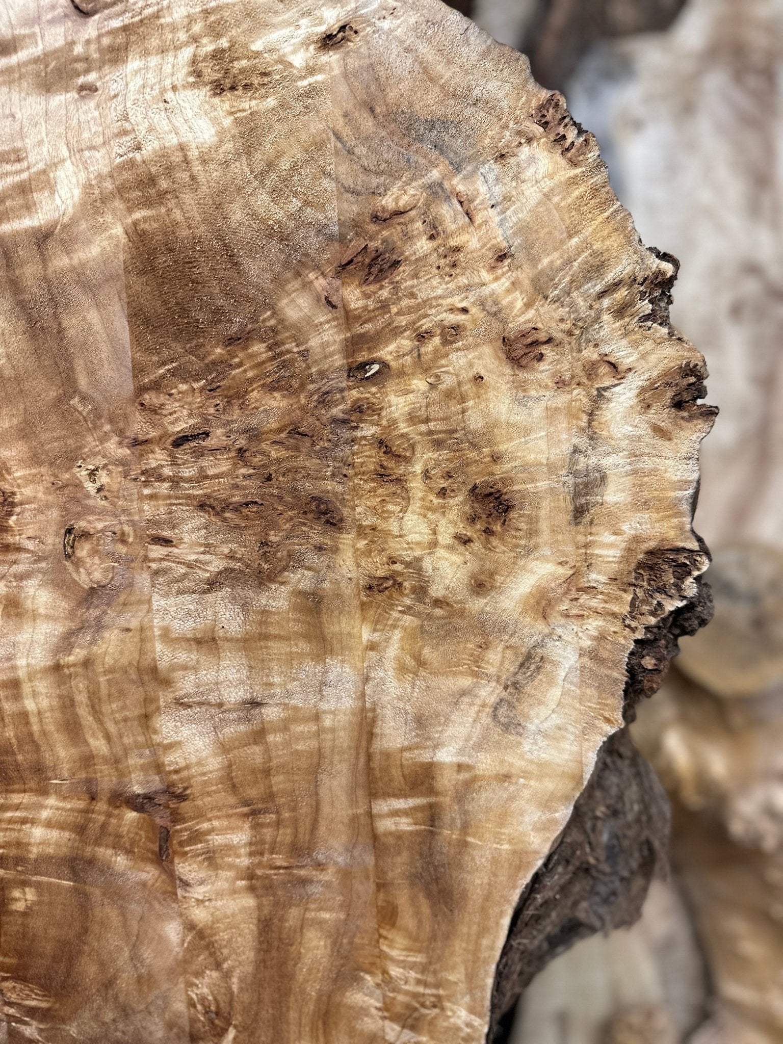 LiveEdge Mappa Burl | Mappa Burl | Hamilton Lee Supply