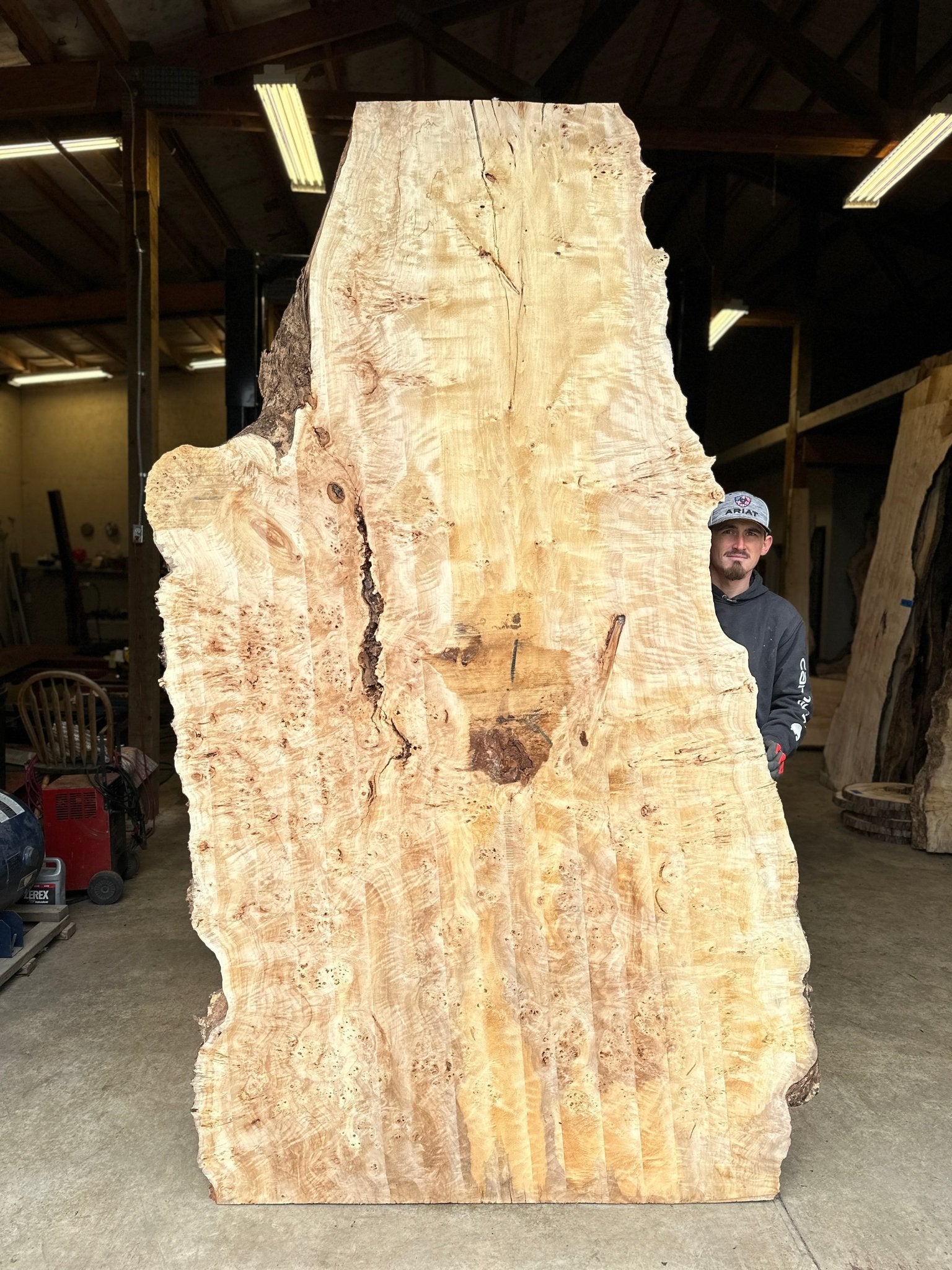 LiveEdge Mappa Burl | Mappa Burl | Hamilton Lee Supply