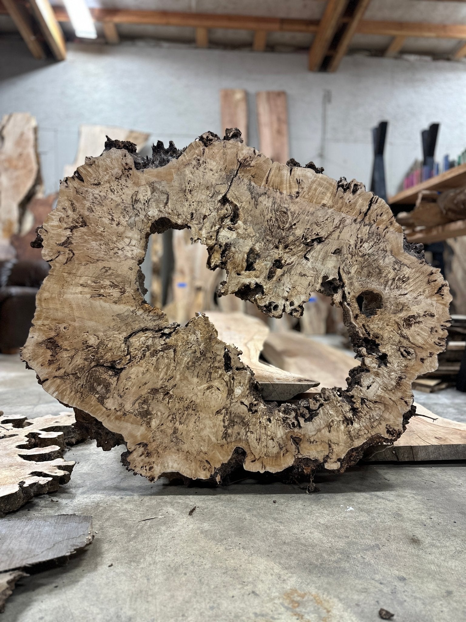 LiveEdge Mappa Burl Cookie | Mappa Burl | Hamilton Lee Supply