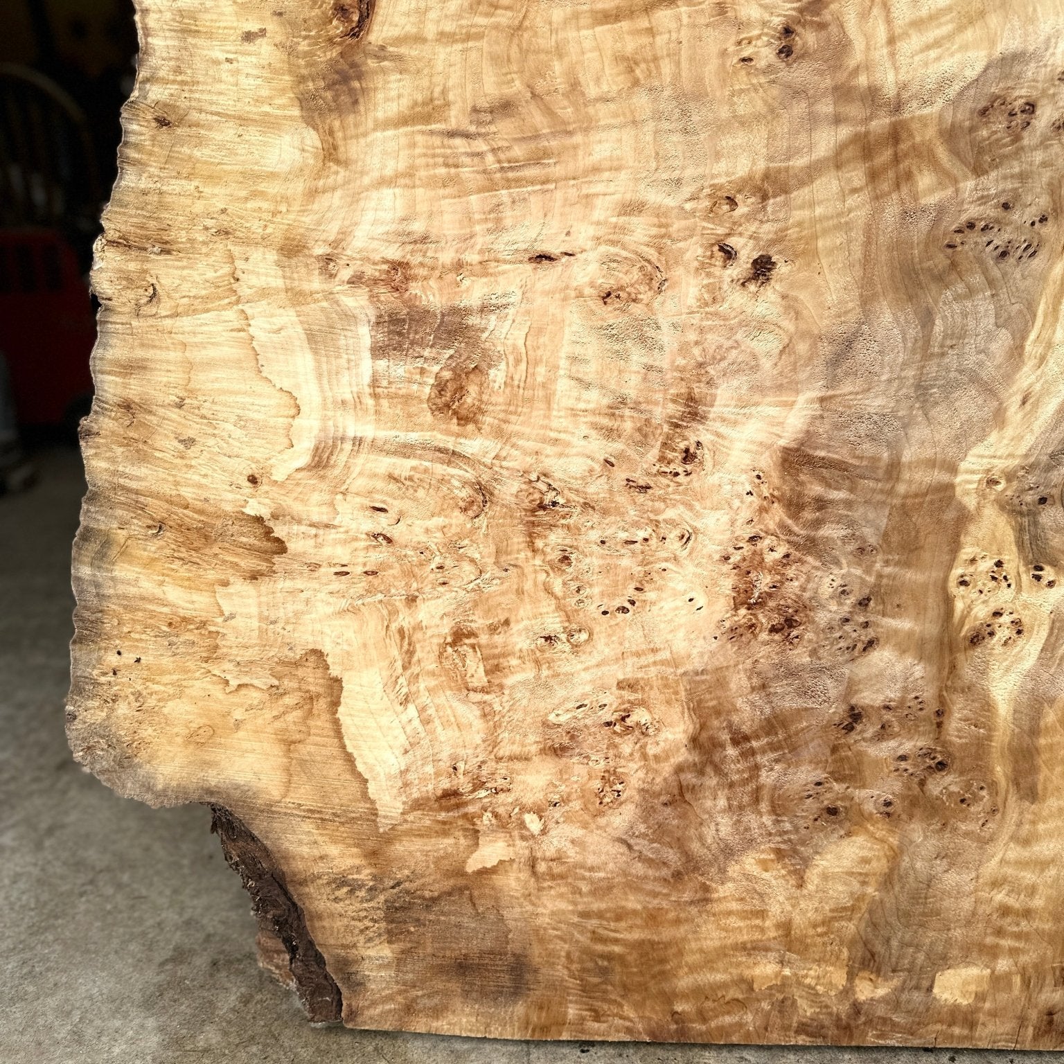 LiveEdge Mappa Burl | Mappa Burl | Hamilton Lee Supply