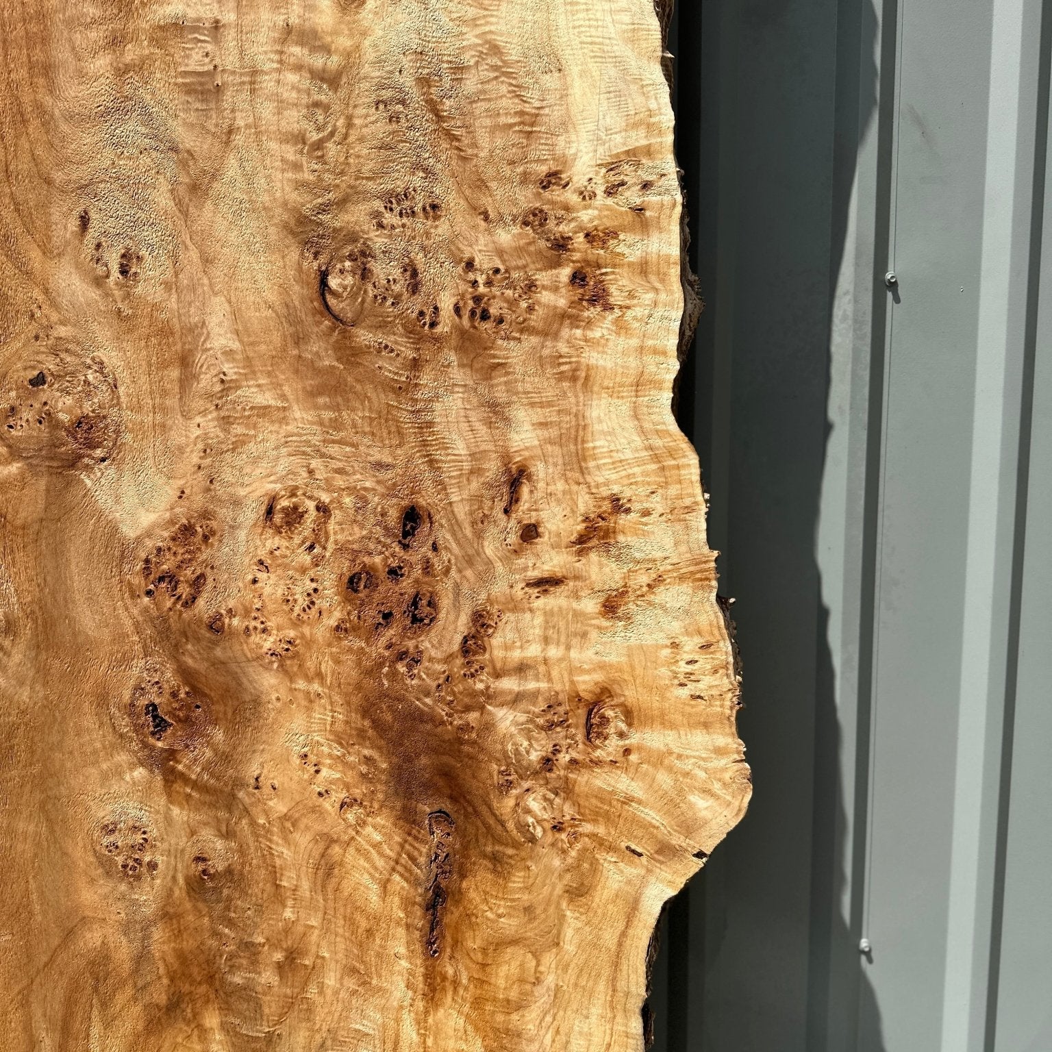LiveEdge Mappa Burl | Mappa Burl | Hamilton Lee Supply