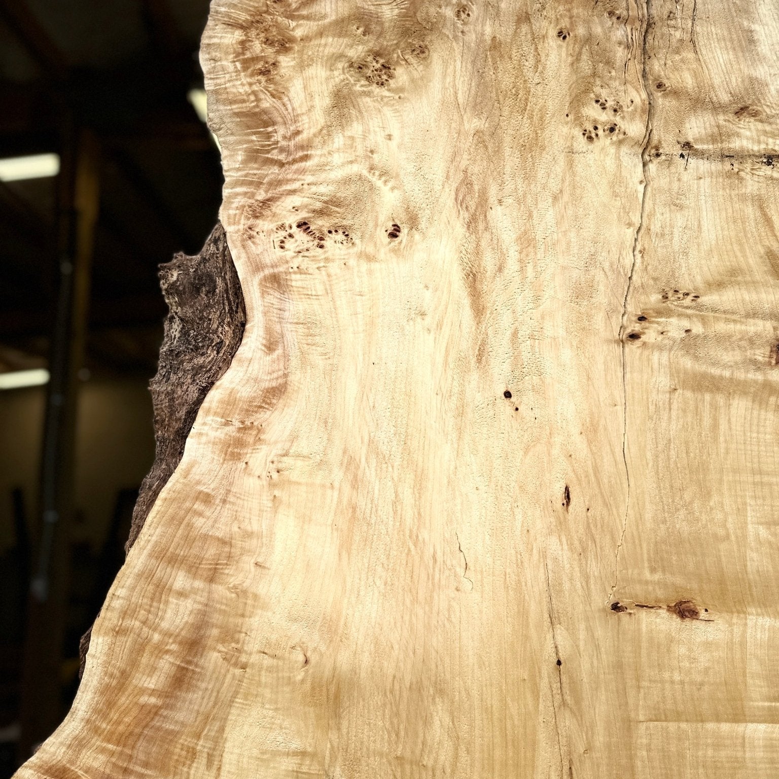 LiveEdge Mappa Burl | Mappa Burl | Hamilton Lee Supply