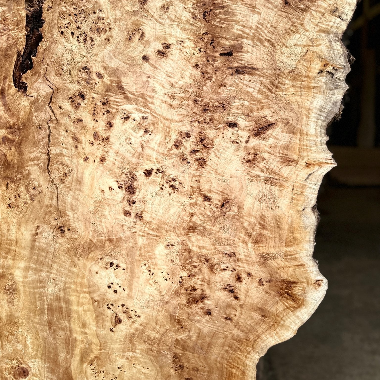 LiveEdge Mappa Burl | Mappa Burl | Hamilton Lee Supply