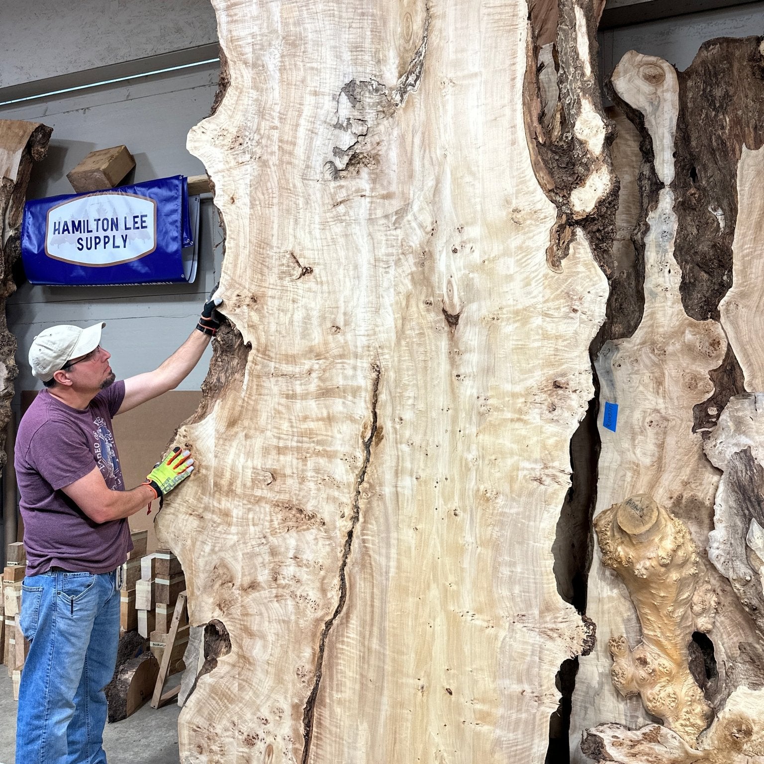 LiveEdge Mappa Burl | Mappa Burl | Hamilton Lee Supply