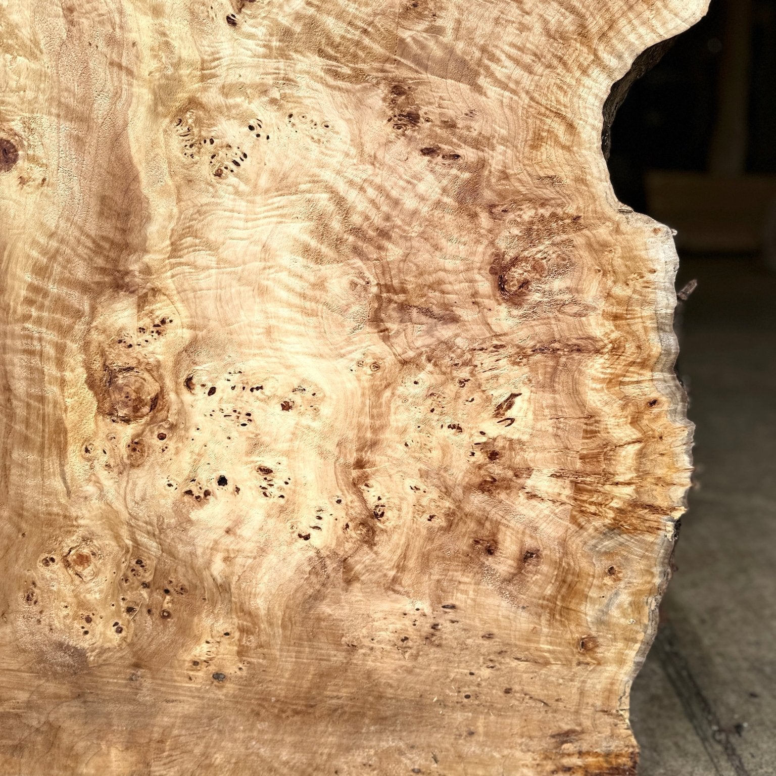 LiveEdge Mappa Burl | Mappa Burl | Hamilton Lee Supply