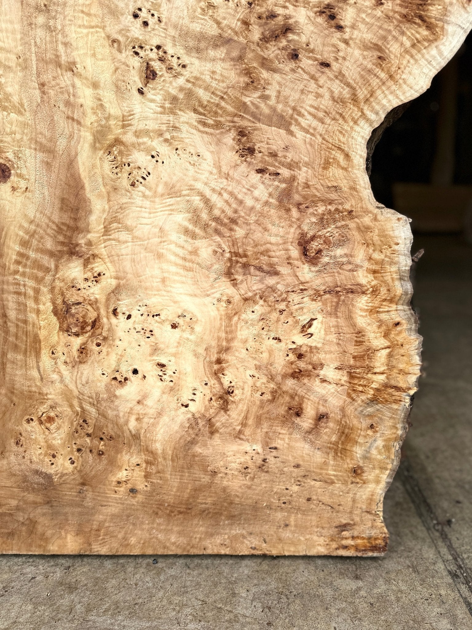LiveEdge Mappa Burl | Mappa Burl | Hamilton Lee Supply