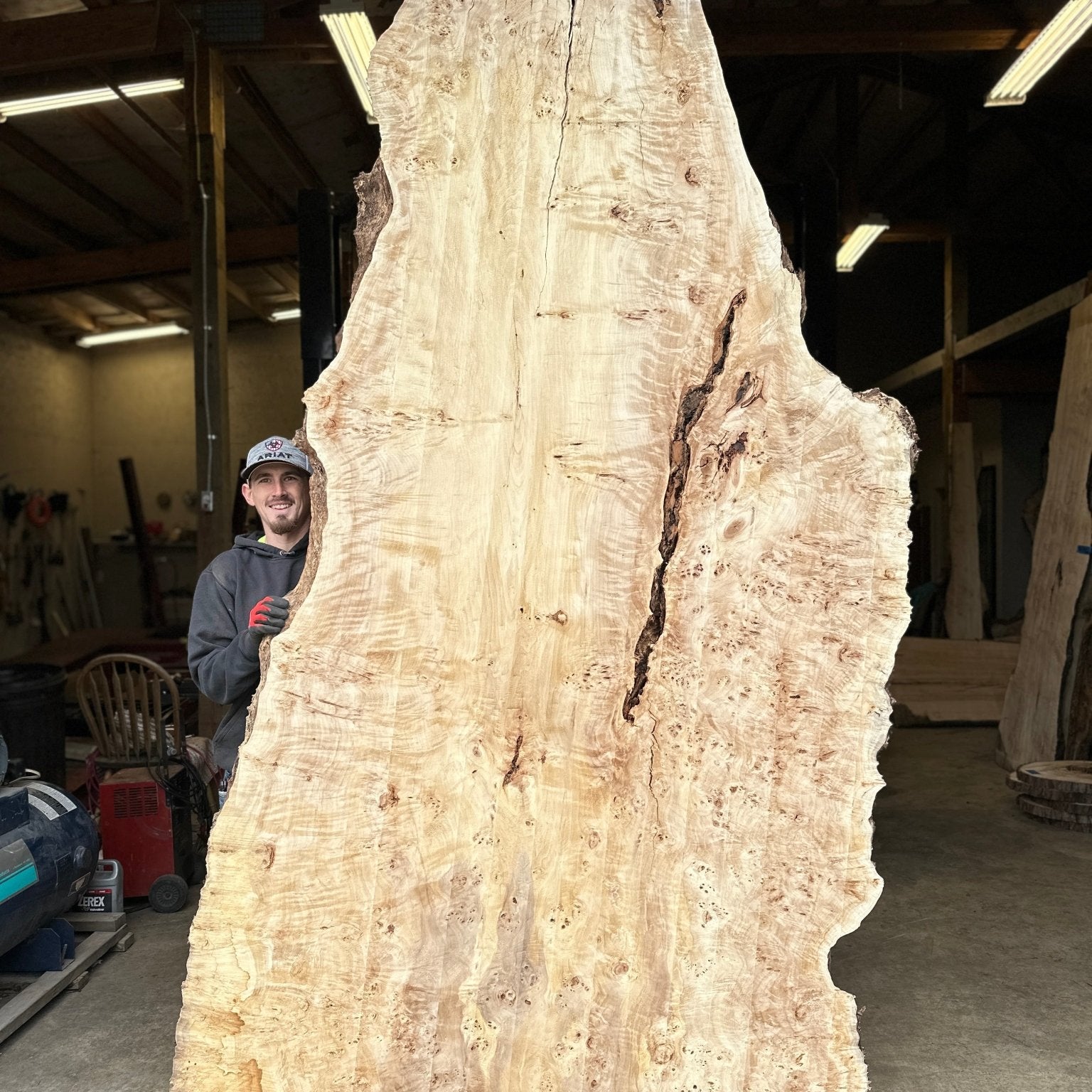 LiveEdge Mappa Burl | Mappa Burl | Hamilton Lee Supply