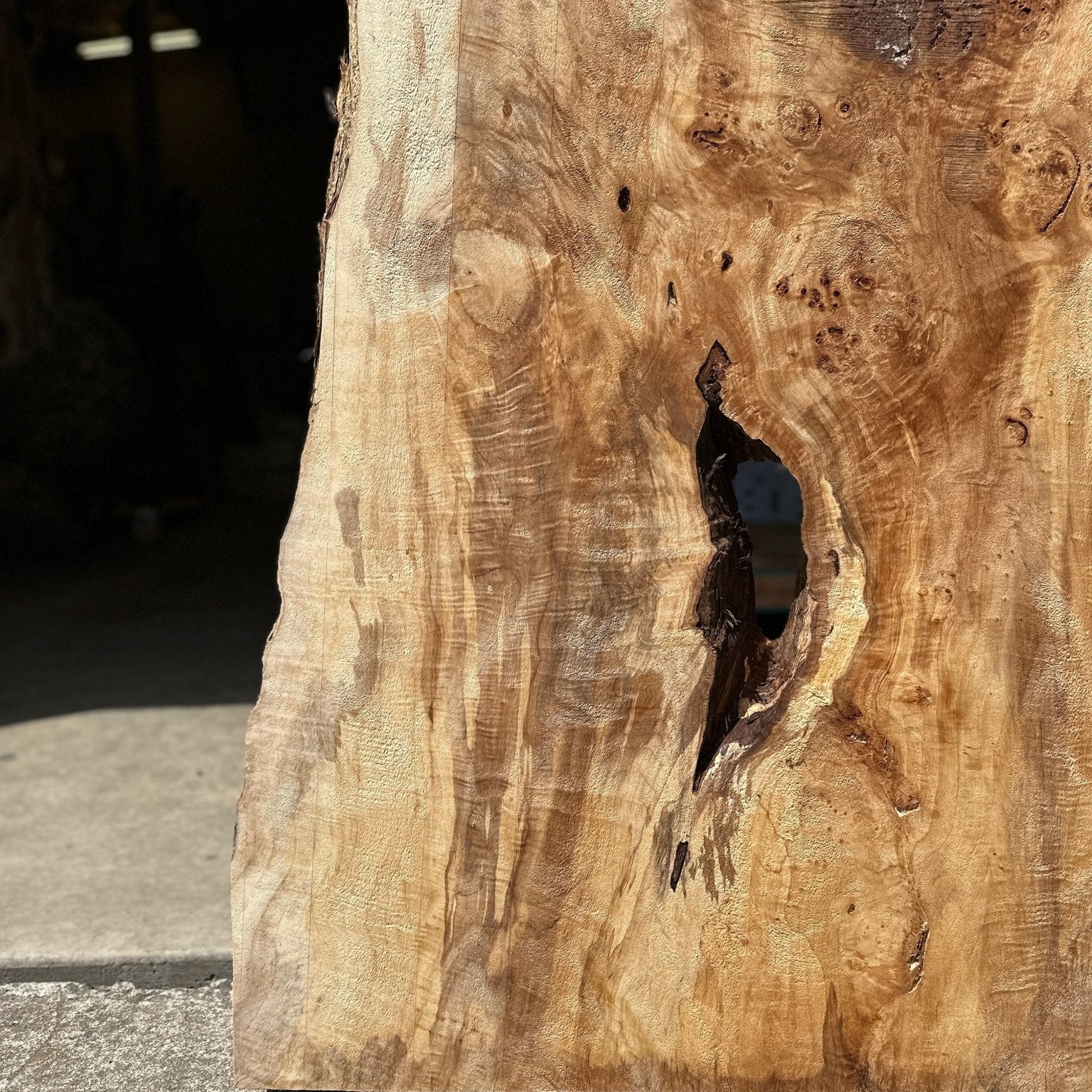 LiveEdge Mappa Burl | Mappa Burl | Hamilton Lee Supply