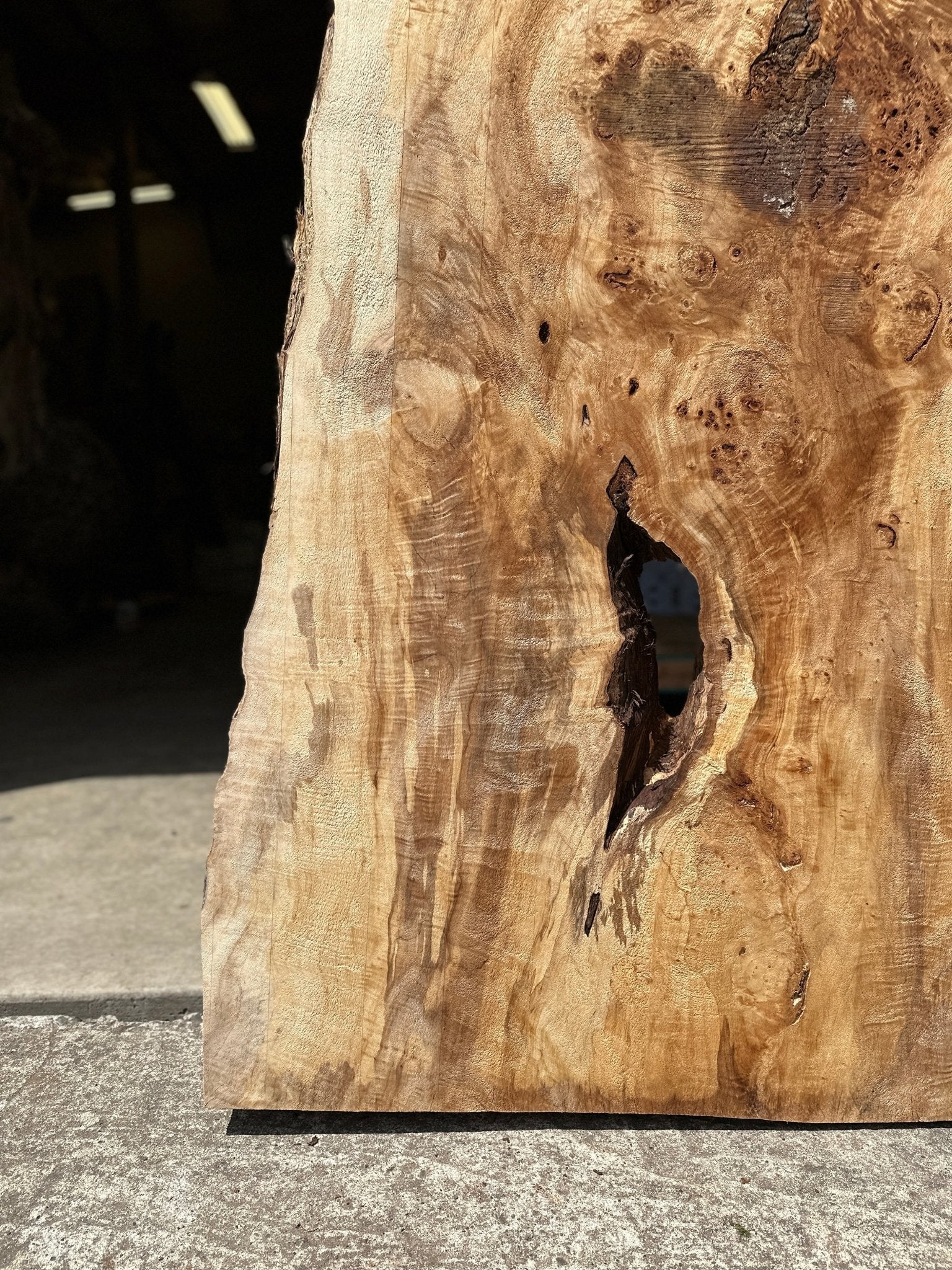 LiveEdge Mappa Burl | Mappa Burl | Hamilton Lee Supply