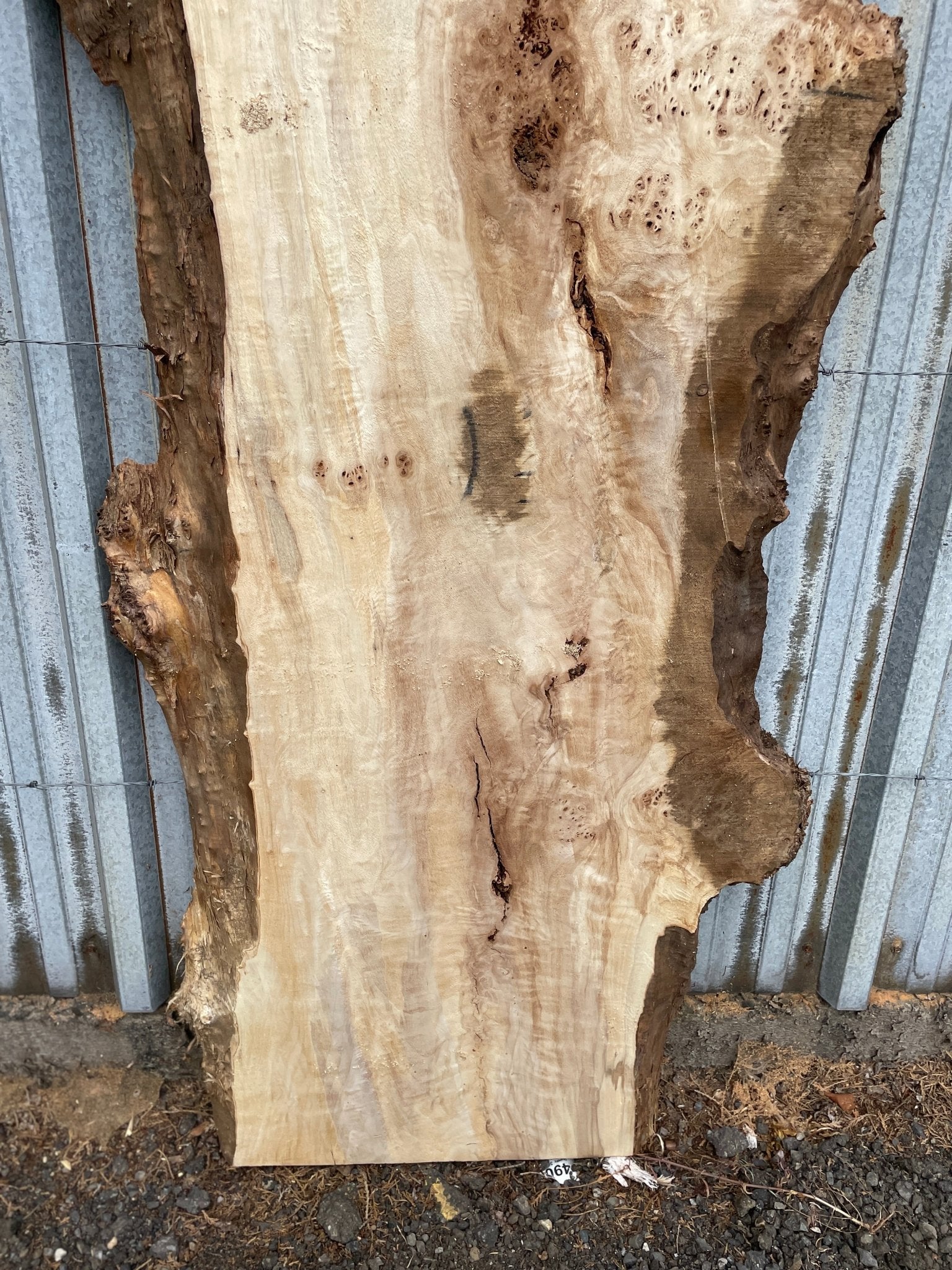 LiveEdge Mappa Burl | Mappa Burl | Hamilton Lee Supply