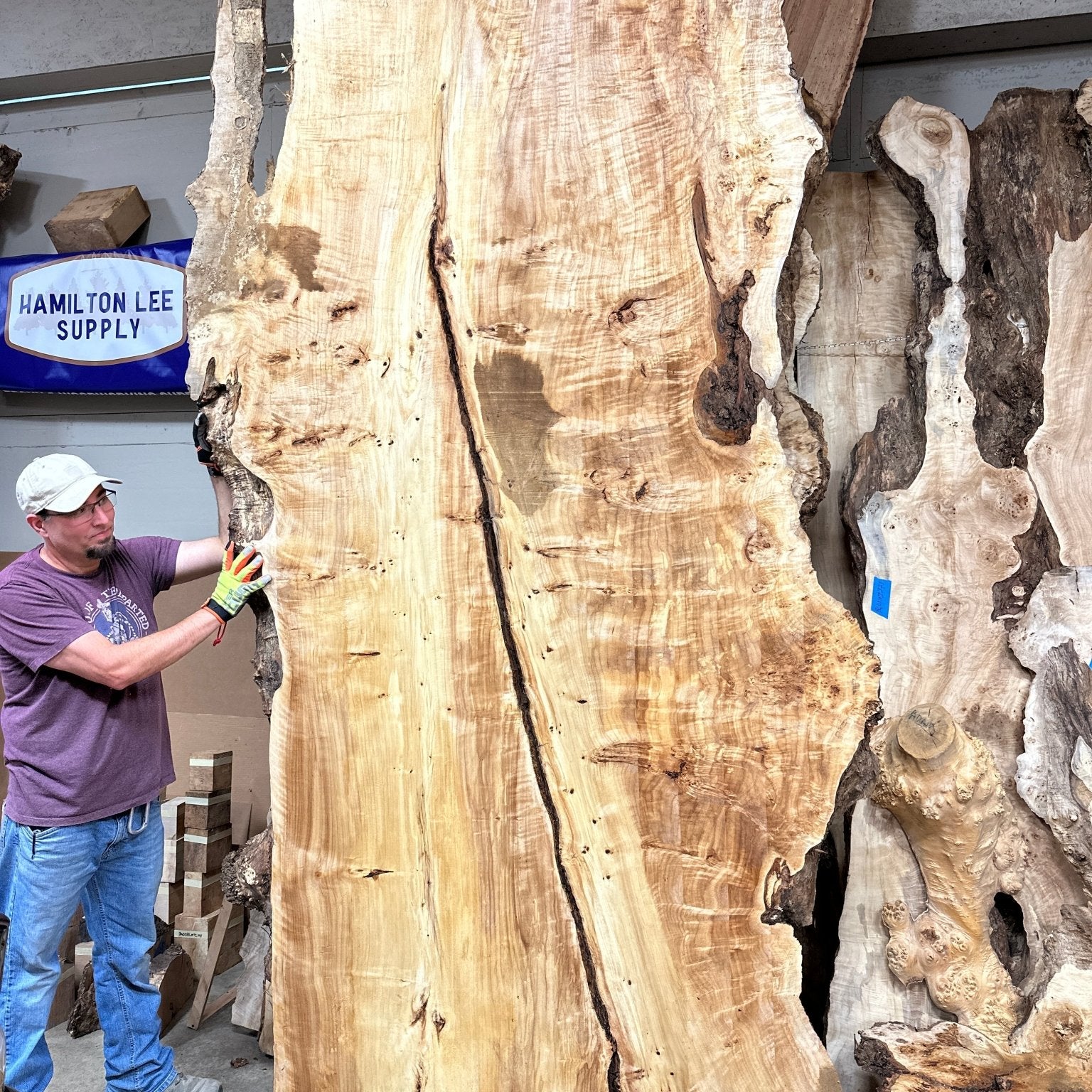 LiveEdge Mappa Burl | Mappa Burl | Hamilton Lee Supply