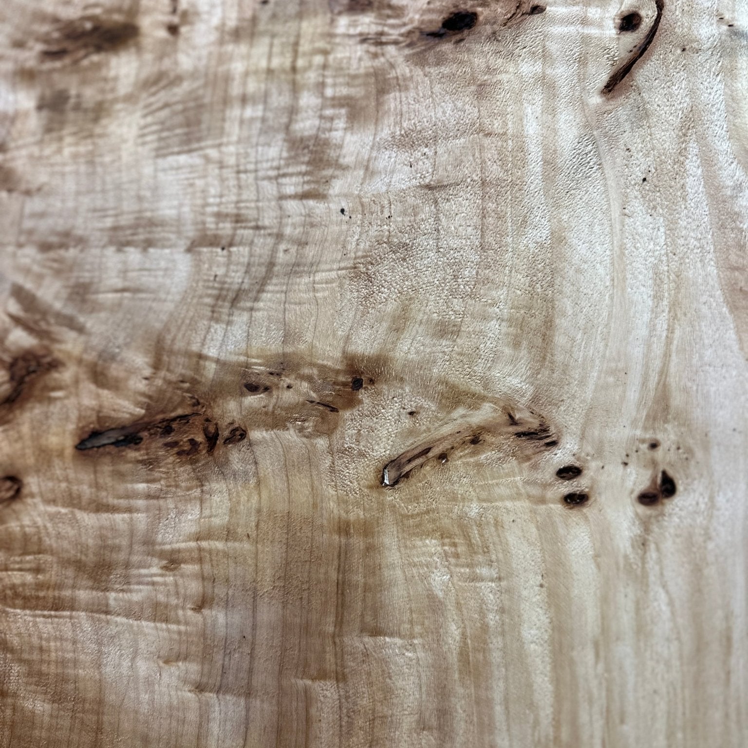 LiveEdge Mappa Burl | Mappa Burl | Hamilton Lee Supply