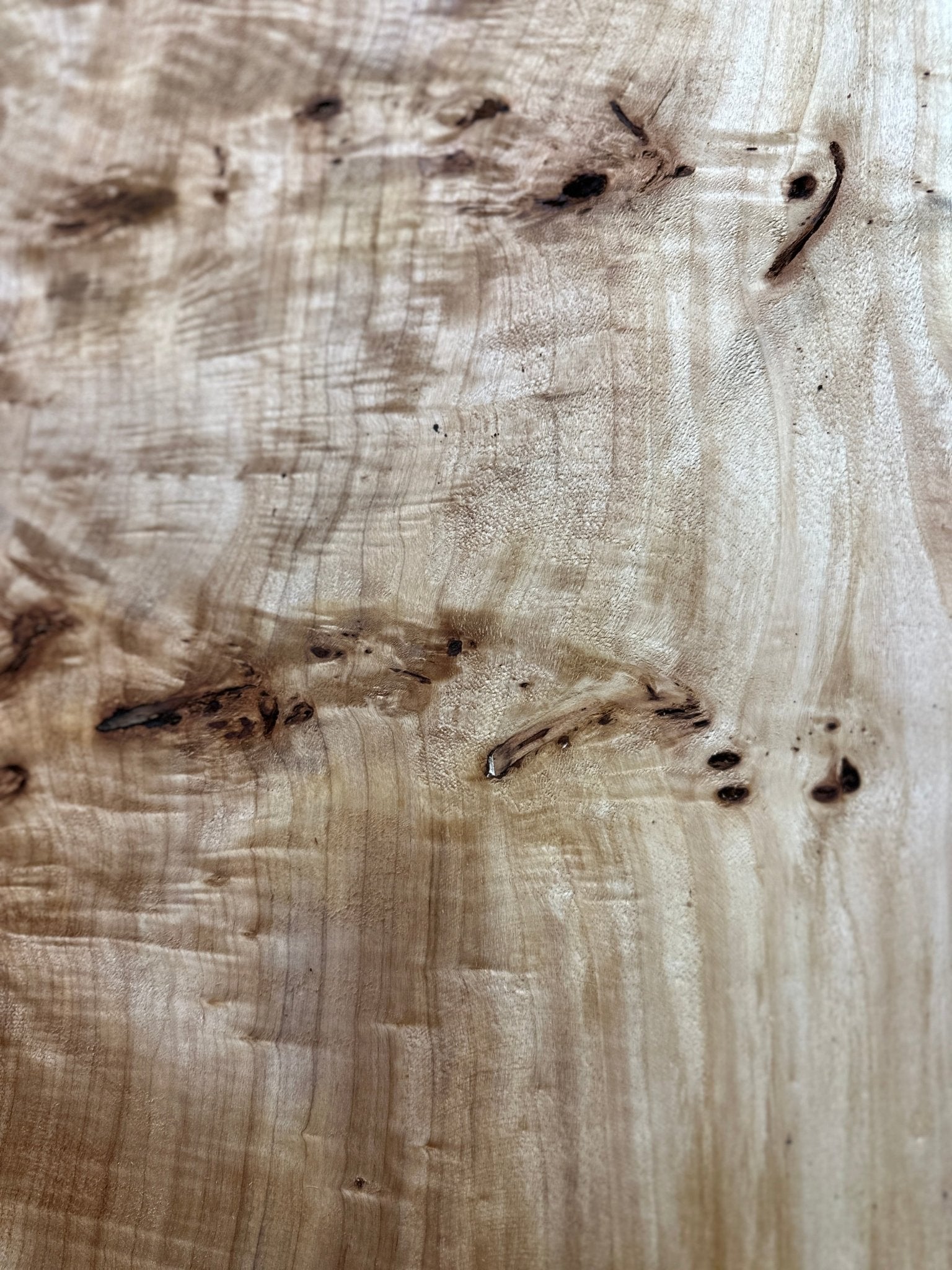 LiveEdge Mappa Burl | Mappa Burl | Hamilton Lee Supply