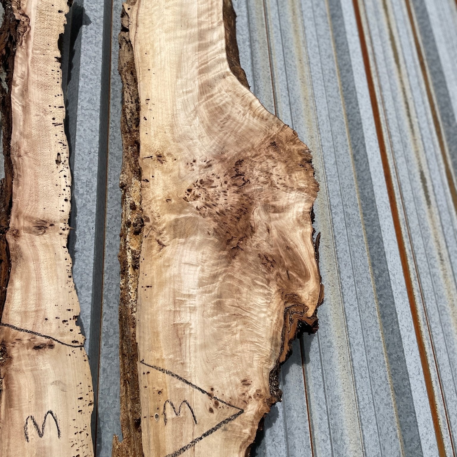 LiveEdge Mappa Burl | Mappa Burl | Hamilton Lee Supply