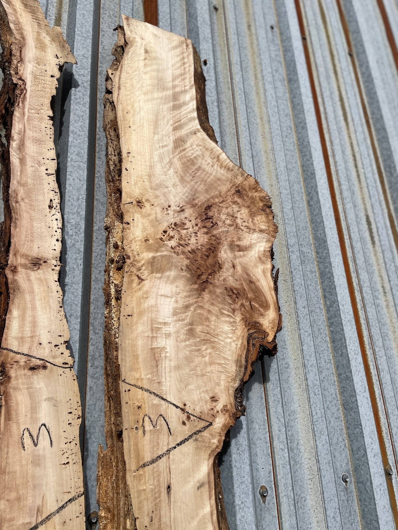 LiveEdge Mappa Burl | Mappa Burl | Hamilton Lee Supply