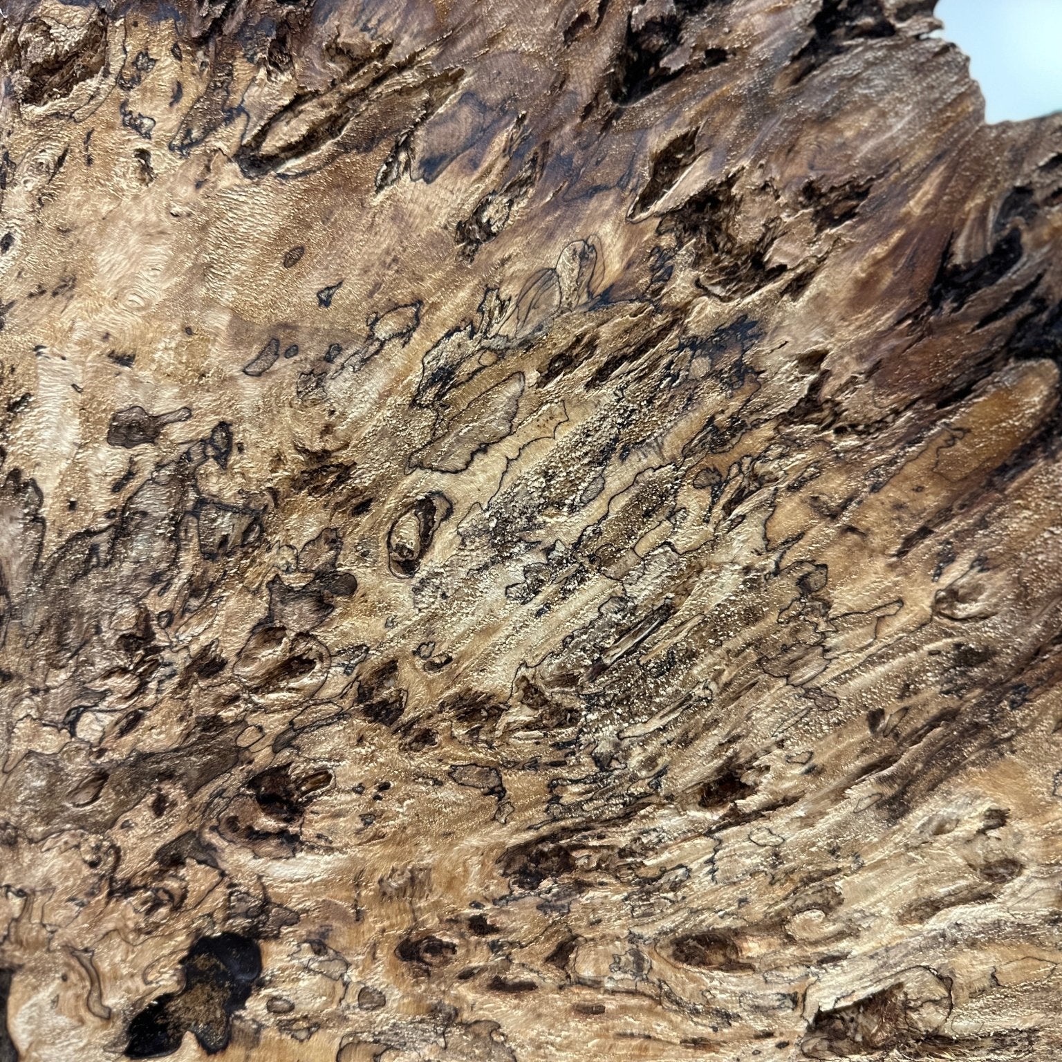 LiveEdge Mappa Burl Cookie | Mappa Burl | Hamilton Lee Supply
