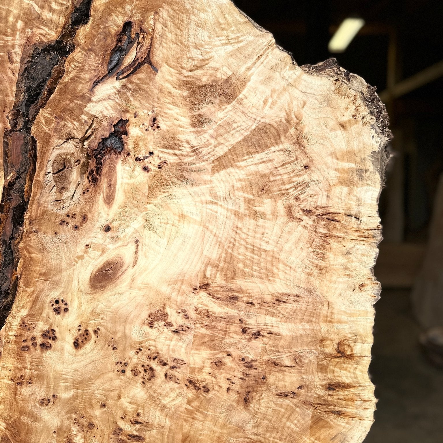LiveEdge Mappa Burl | Mappa Burl | Hamilton Lee Supply