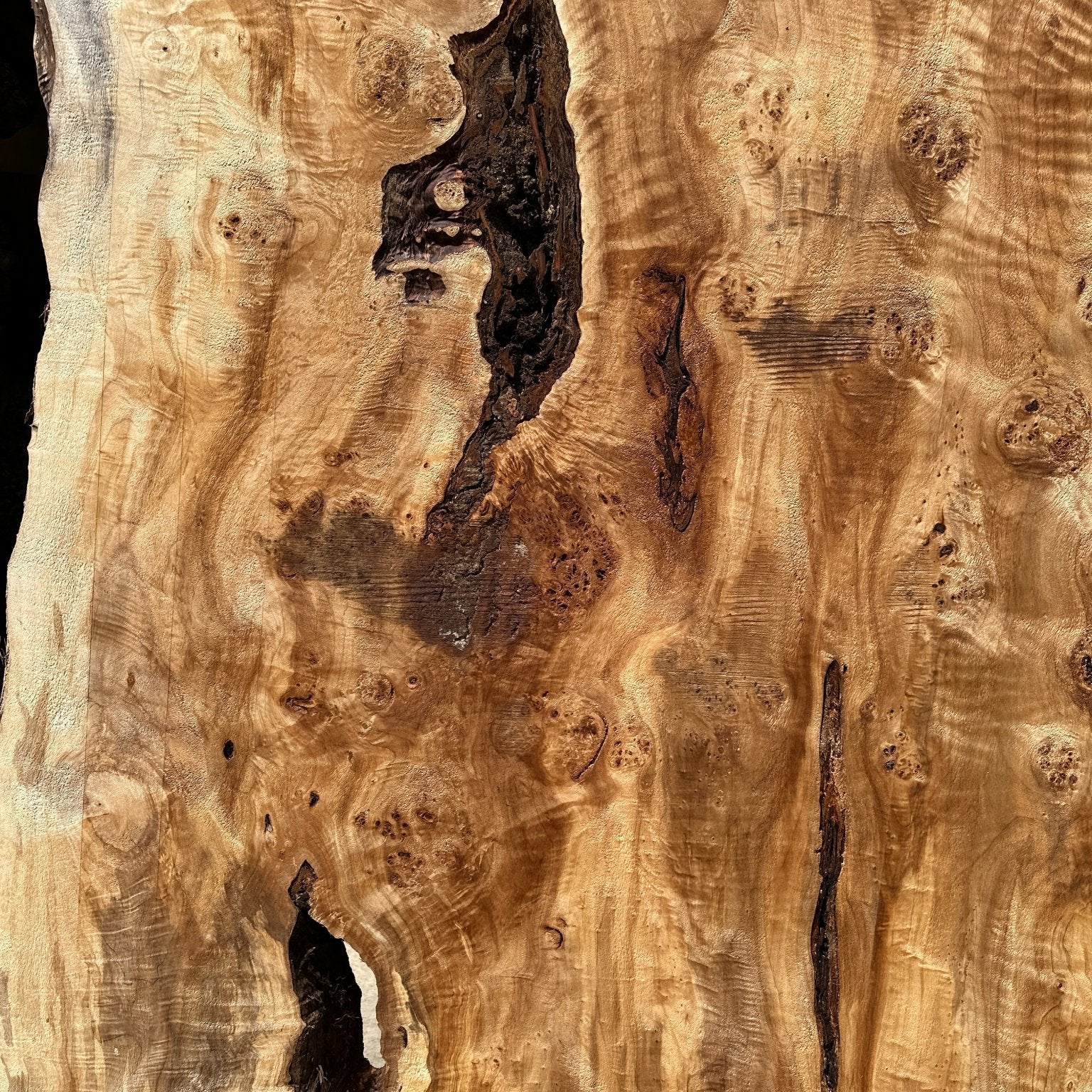LiveEdge Mappa Burl | Mappa Burl | Hamilton Lee Supply